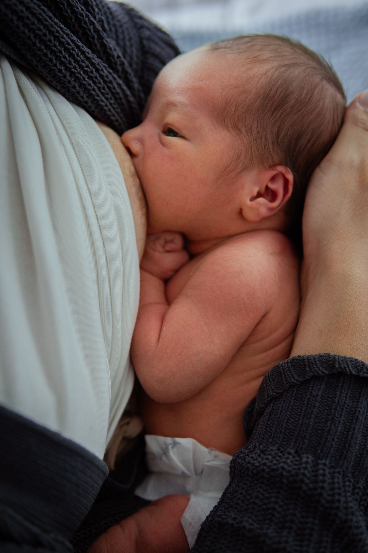 Intimate moment of newborn baby nursing while wrapped in dark knitted blanket.
