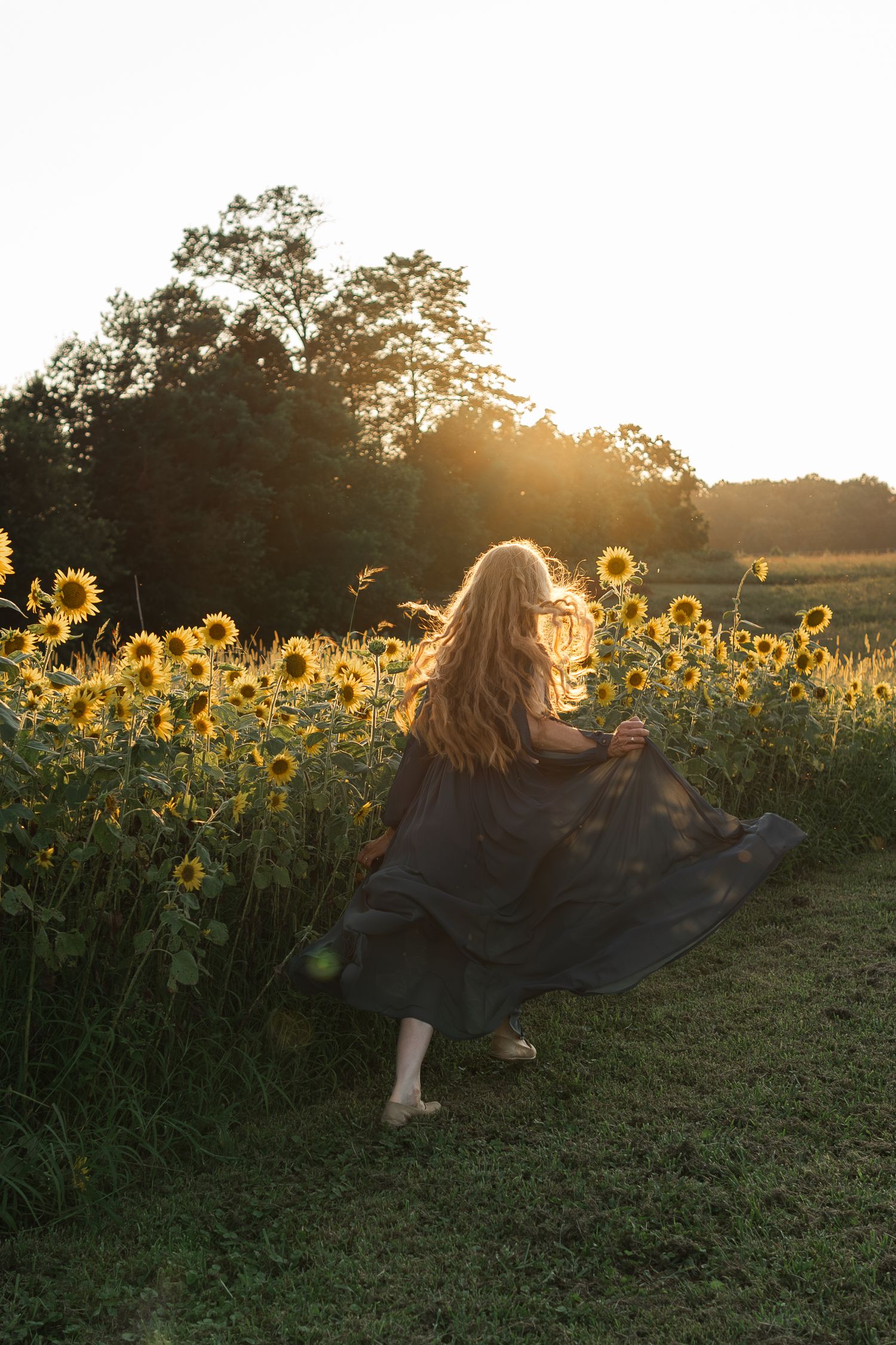 A flowing black dress twirls among golden sunflowers at sunset, creating a dreamy silhouette against the warm evening light.