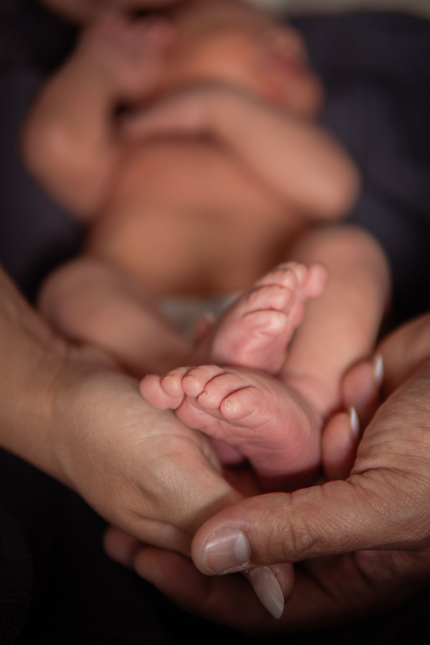 Series of images showing tiny newborn feet being cradled in adult hands.