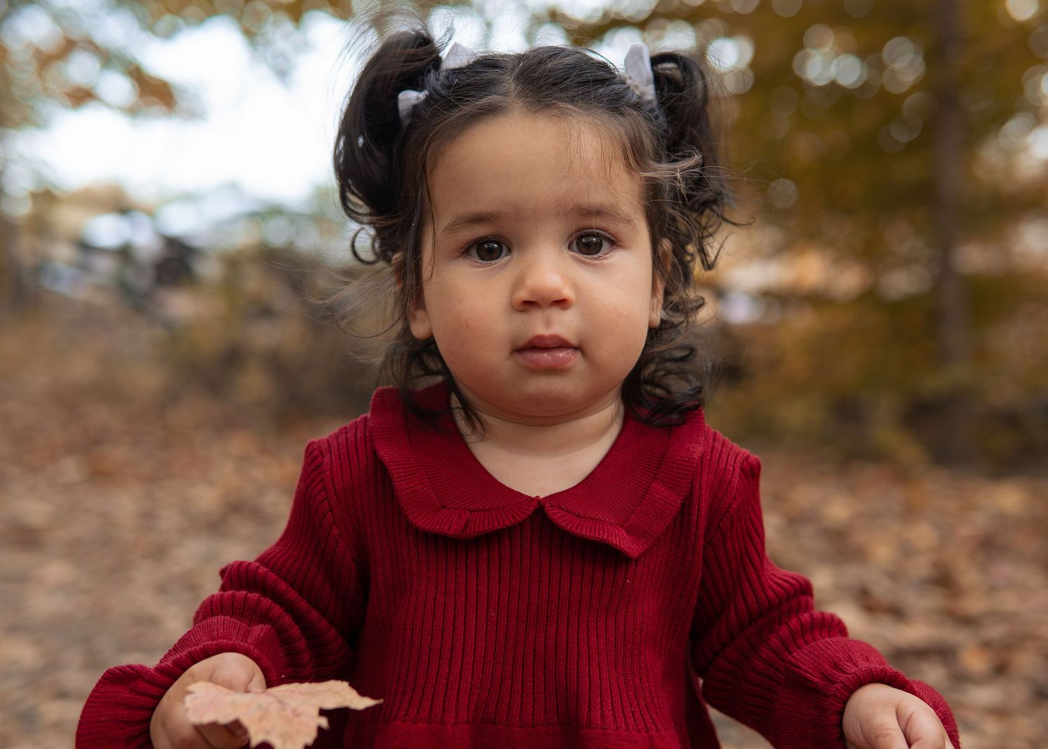 A series of photos showing a small child in a red sweater playing with autumn leaves outdoors.