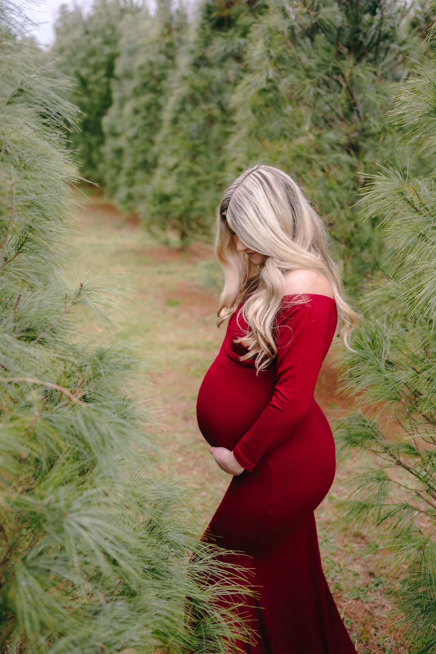 Expectant mother in red dress cradles baby bump among pine trees.