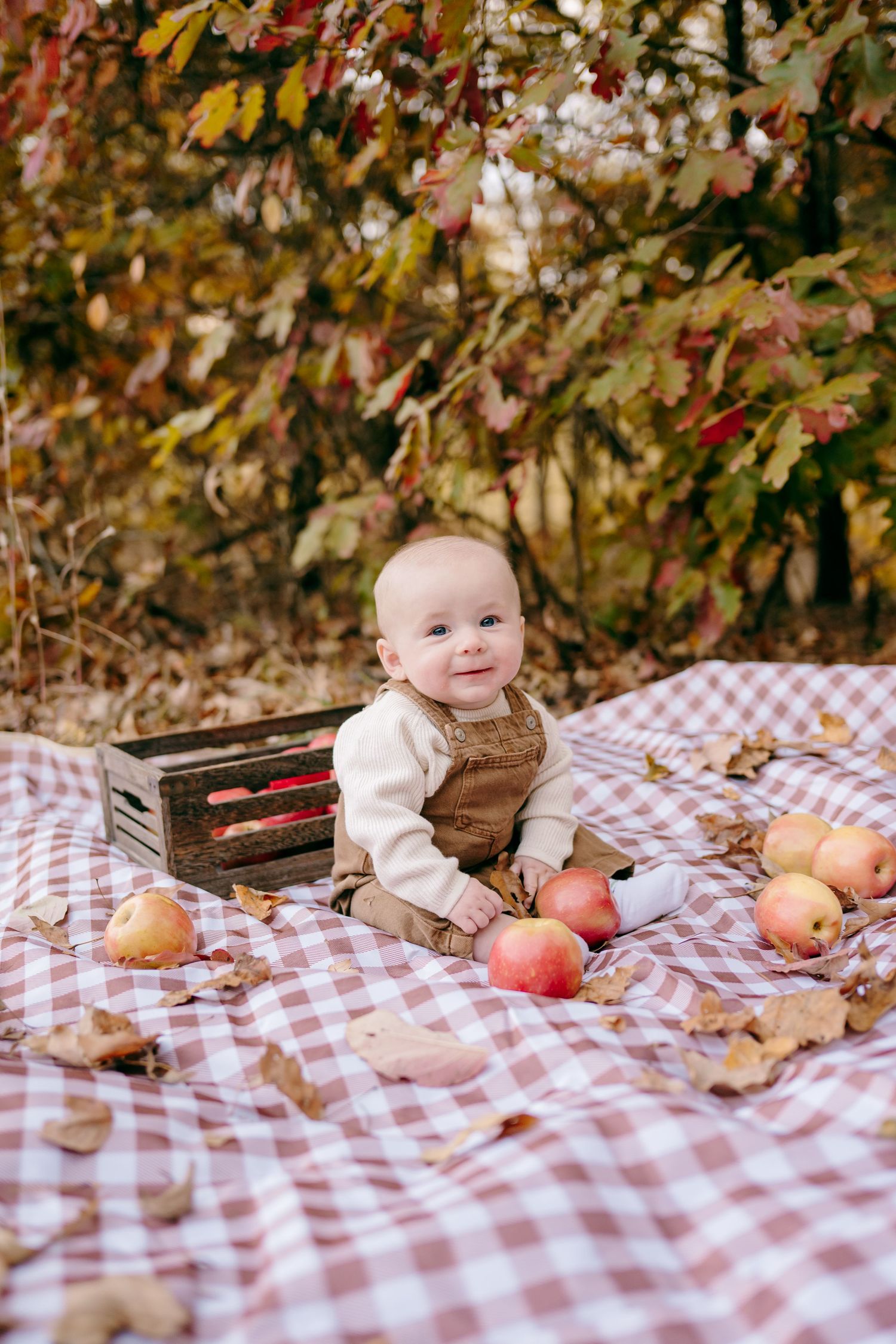 A fall picnic scene with a checkered blanket, fresh apples, and wooden crates in an outdoor autumn setting.
