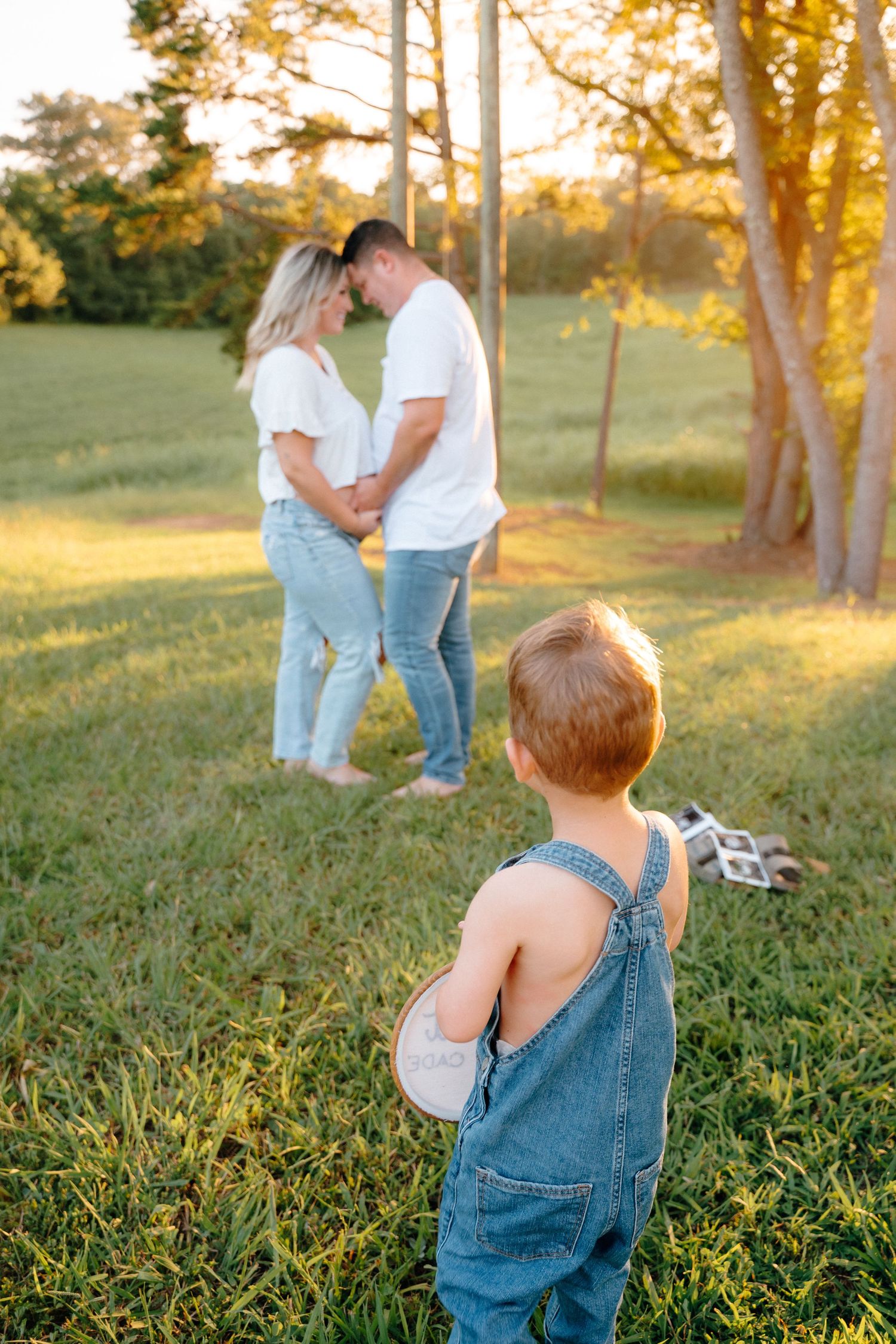 Family pregnancy announcement photoshoot in grassy field at sunset.
