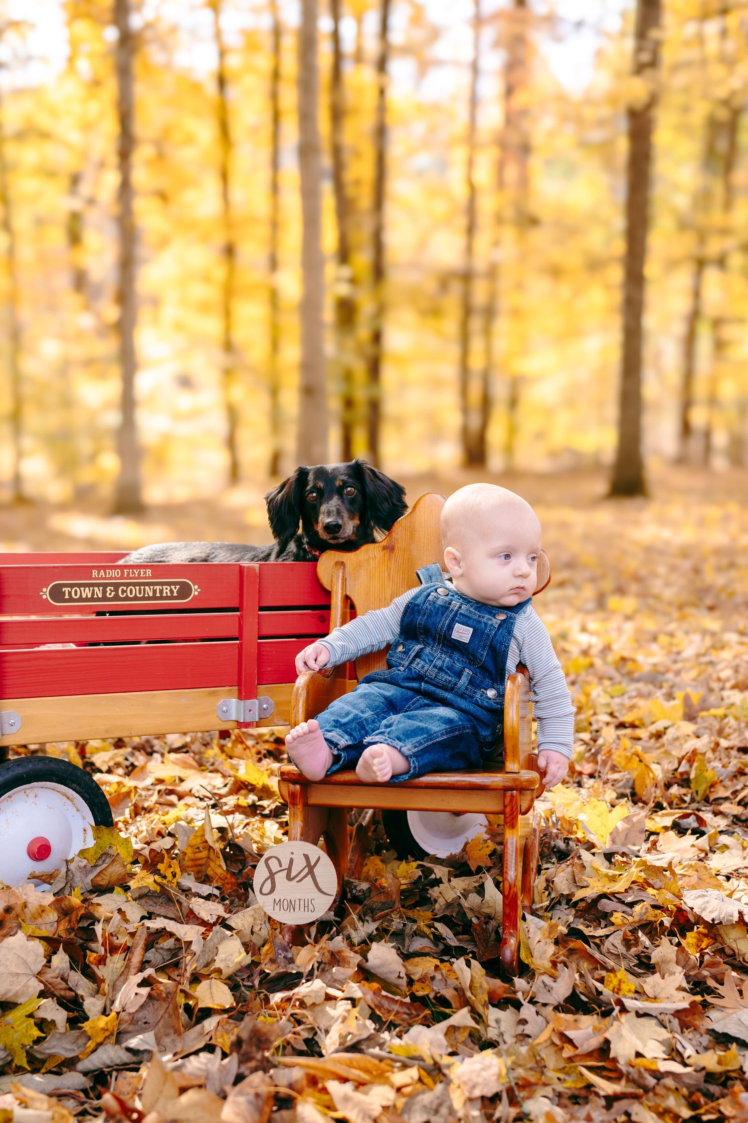 Baby in denim outfit sitting among fall leaves next to red wagon.