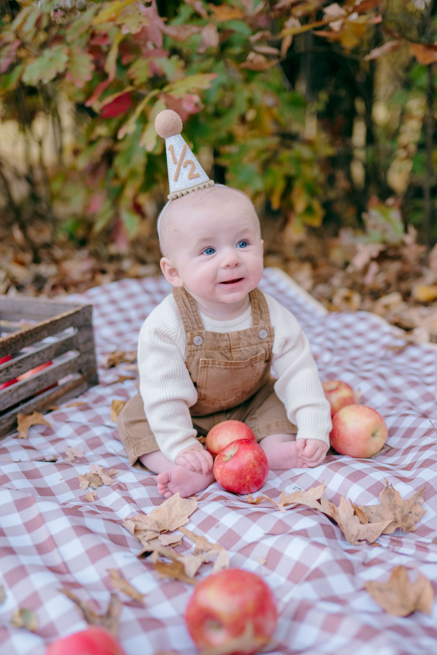 Autumn photo setup with apples and checkered blanket against fall foliage.
