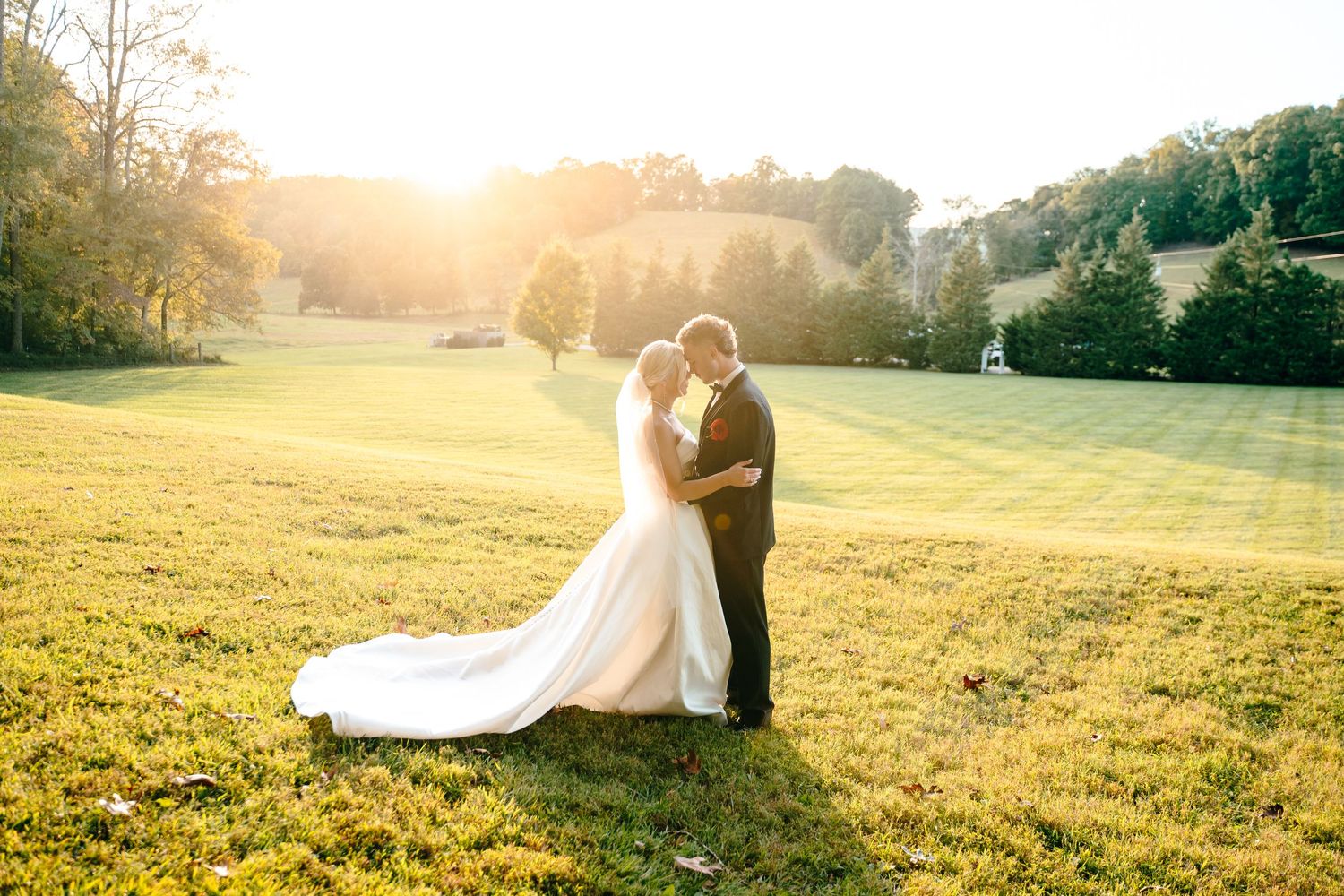 Golden hour wedding photography sequence capturing romantic moments in a sunlit meadow.