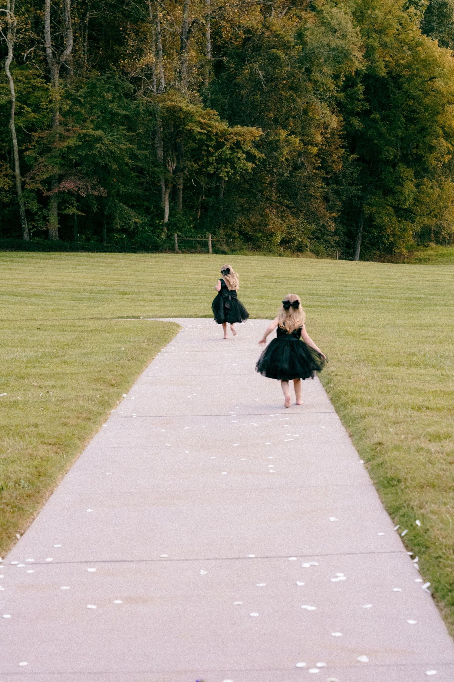 Flower petals line concrete path as figures in black dresses walk through garden setting.