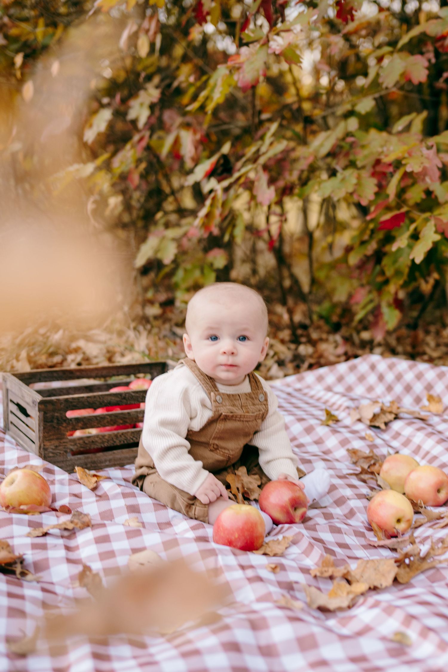 Autumn picnic scene with checkered blanket, wooden crates, and apples.