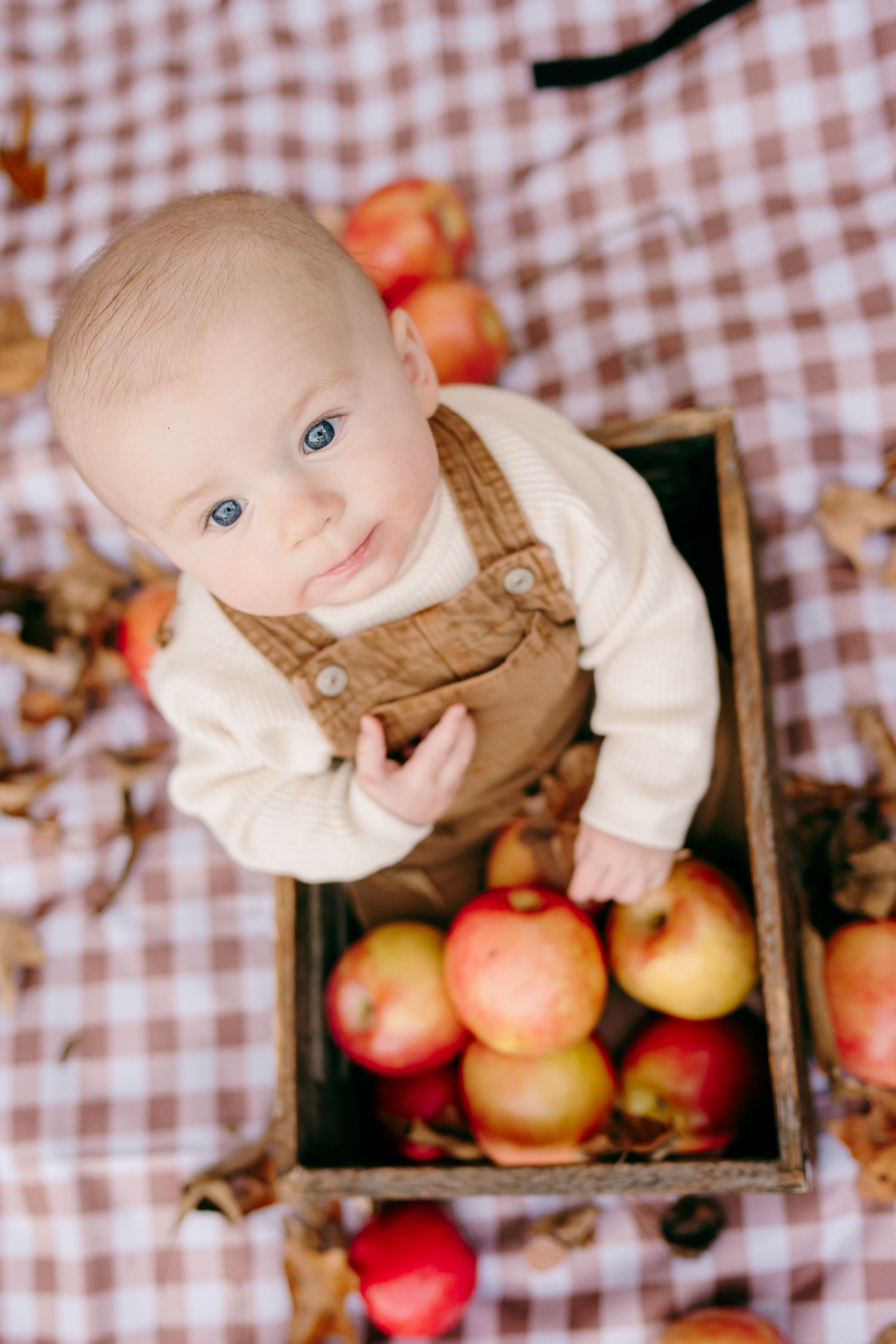 Rustic wooden crate filled with red apples on checkered blanket.