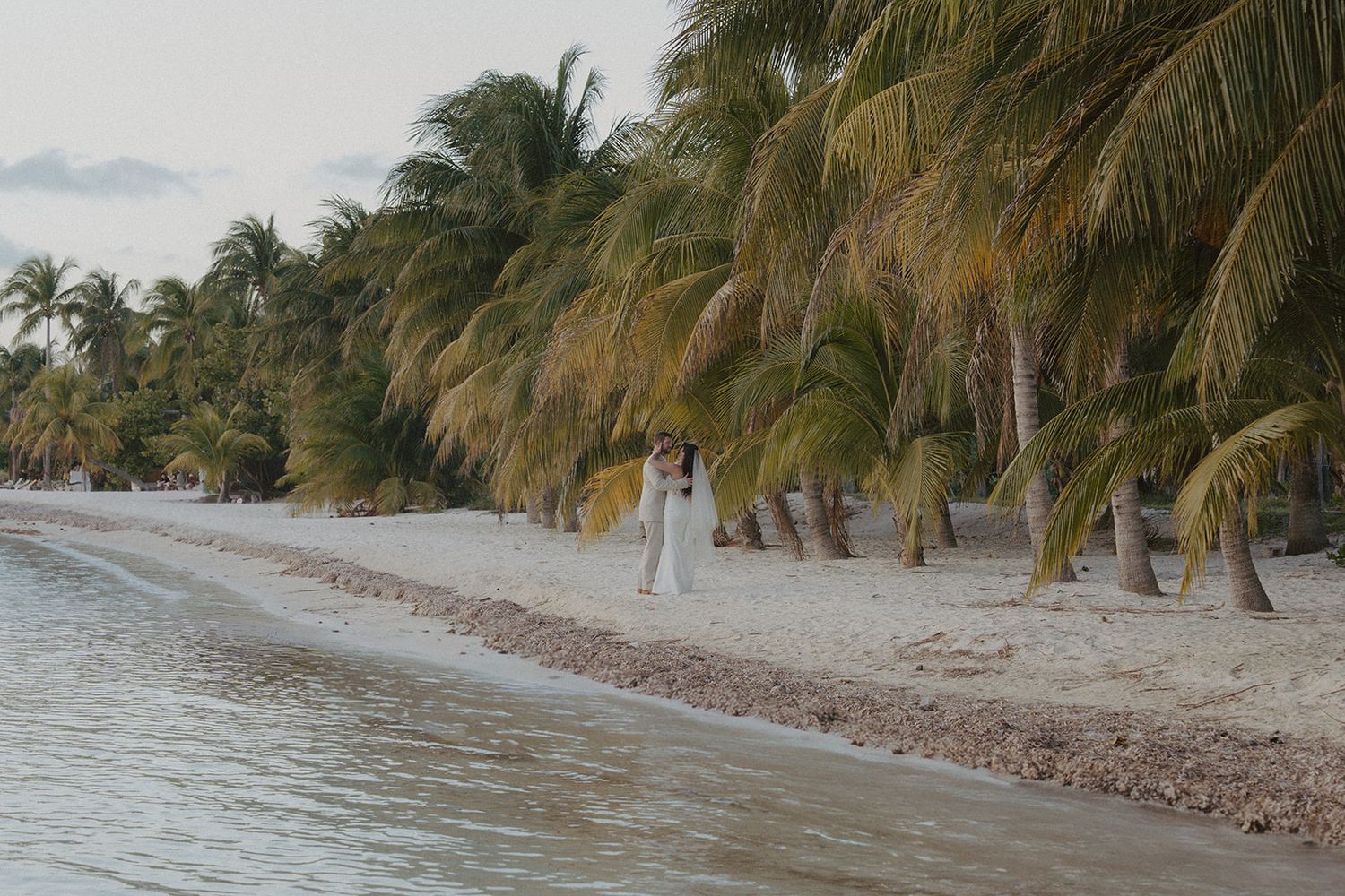 Couple embracing on a tropical beach lined with palm trees near calm turquoise waters.
