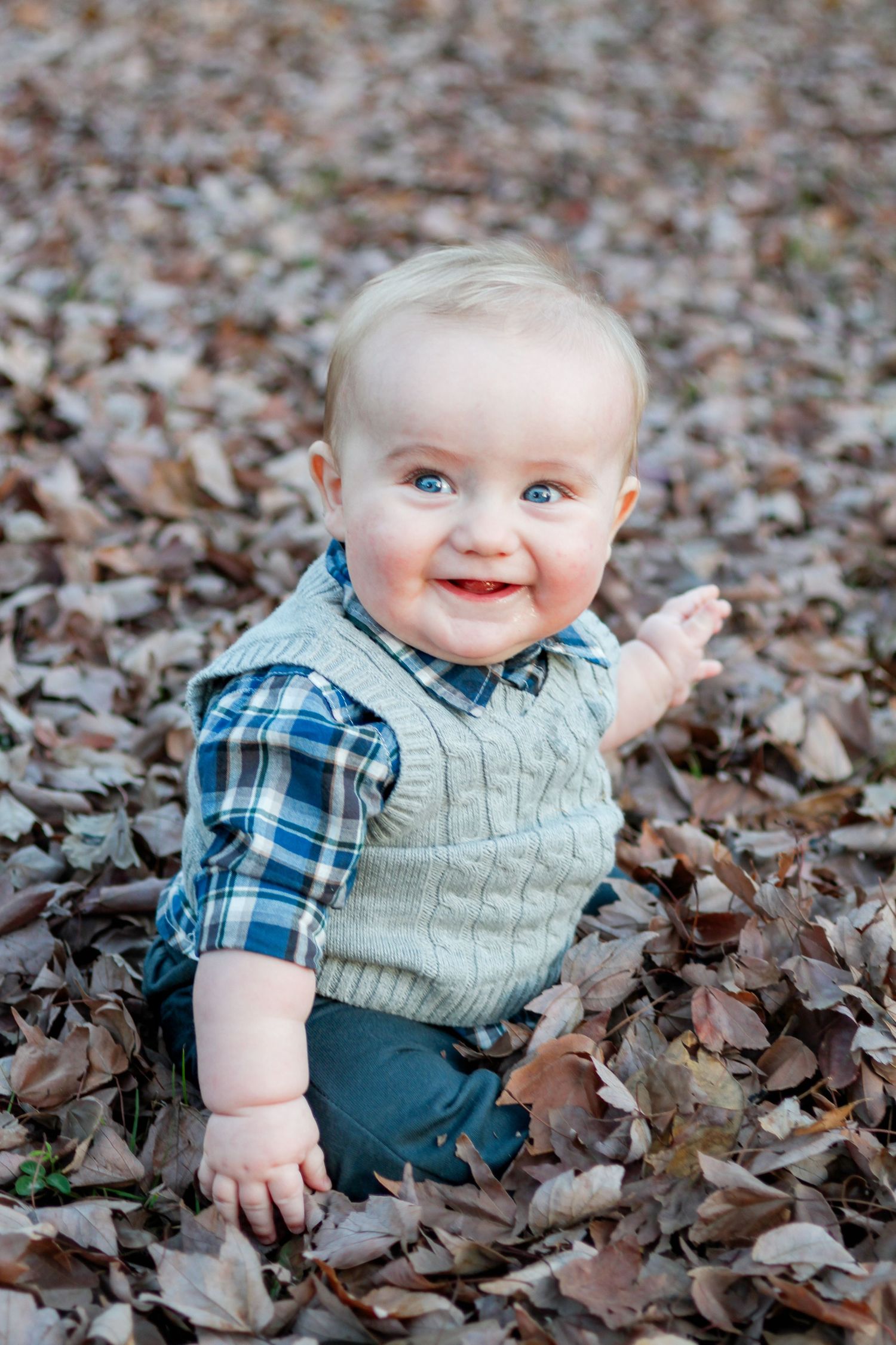 Baby in gray sweater vest and plaid shirt sits playfully among scattered autumn leaves on the ground. East Hill family photo session.