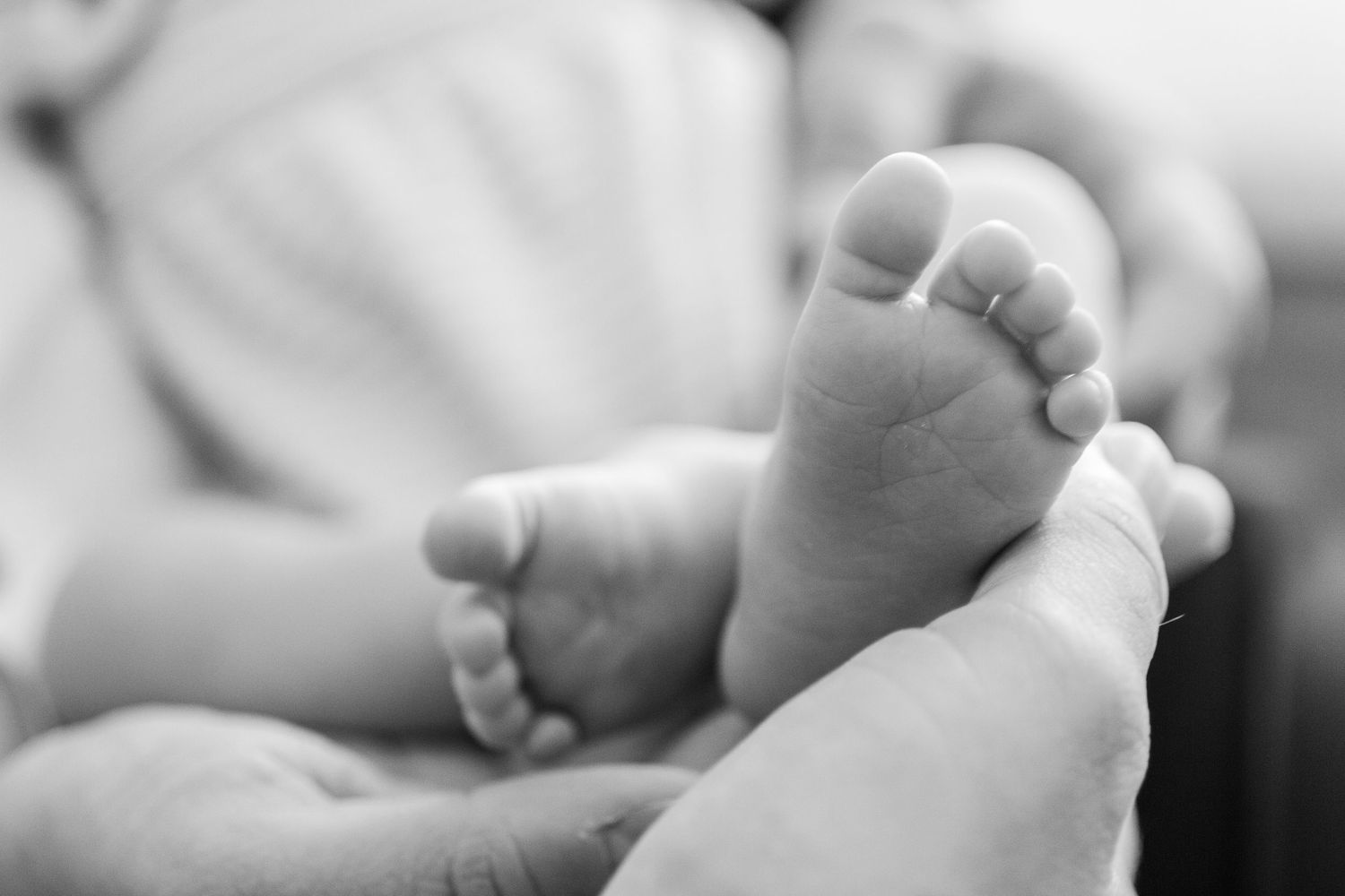 Close-up black and white photograph of tiny newborn baby feet against a soft background.