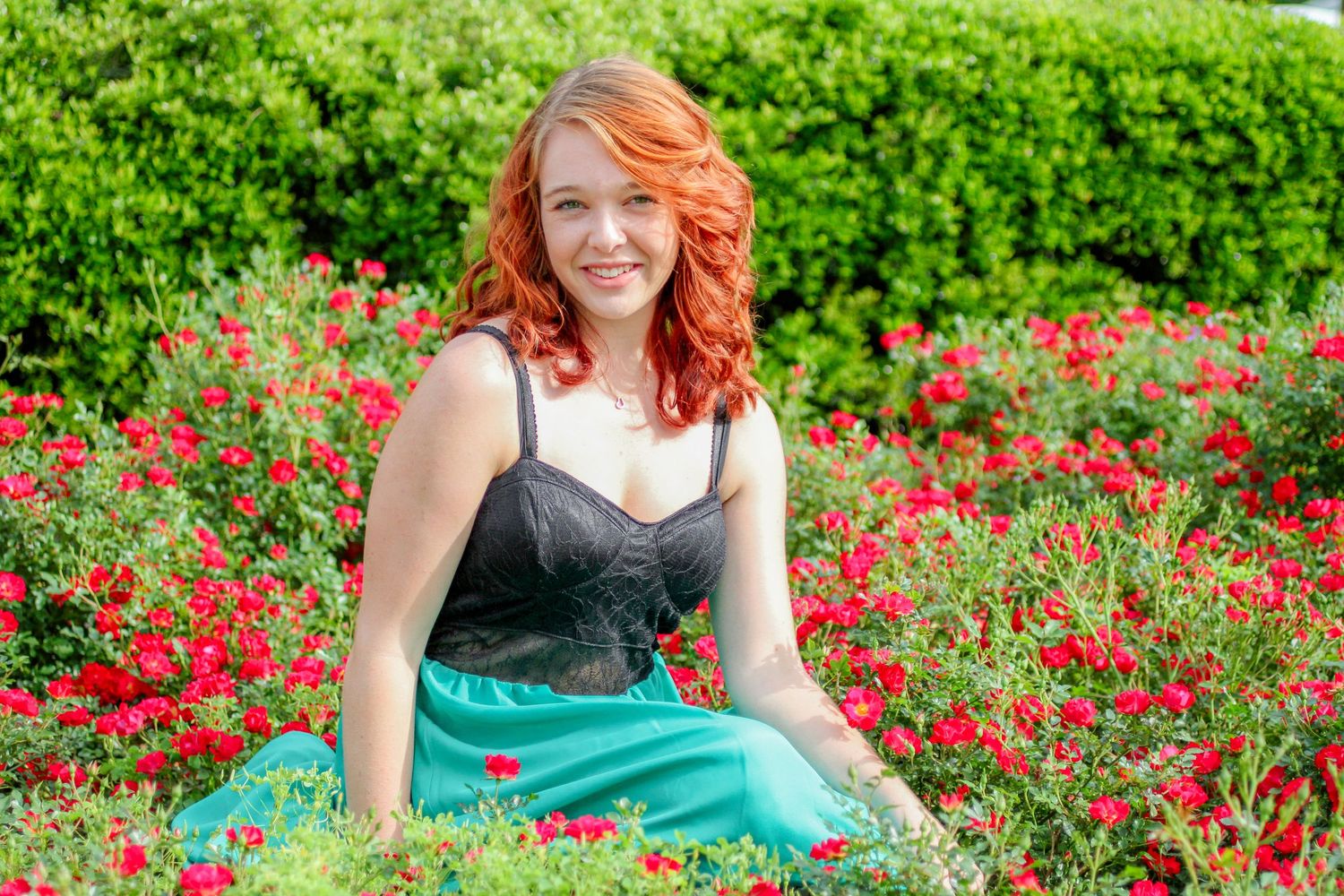 A bright garden scene with vibrant red flowers and lush green bushes on a sunny summer day.