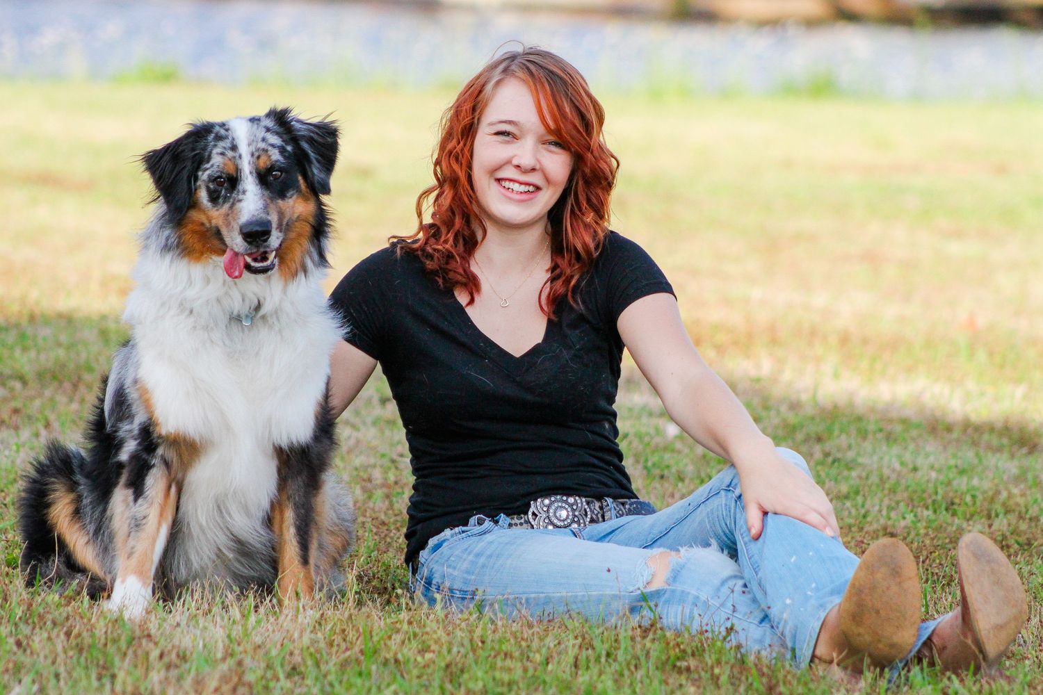 Several shots of an Australian Shepherd dog playing and posing in an outdoor field with grassy backdrop.