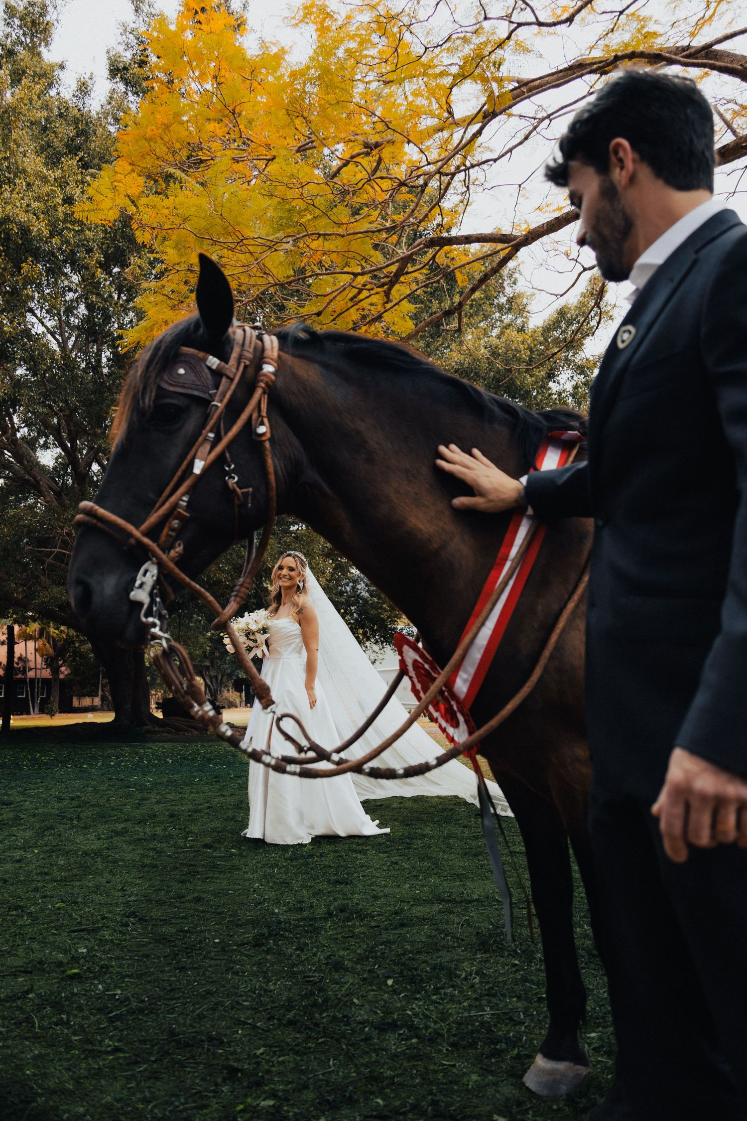 A black horse stands against autumn foliage while being photographed during a wedding photoshoot.