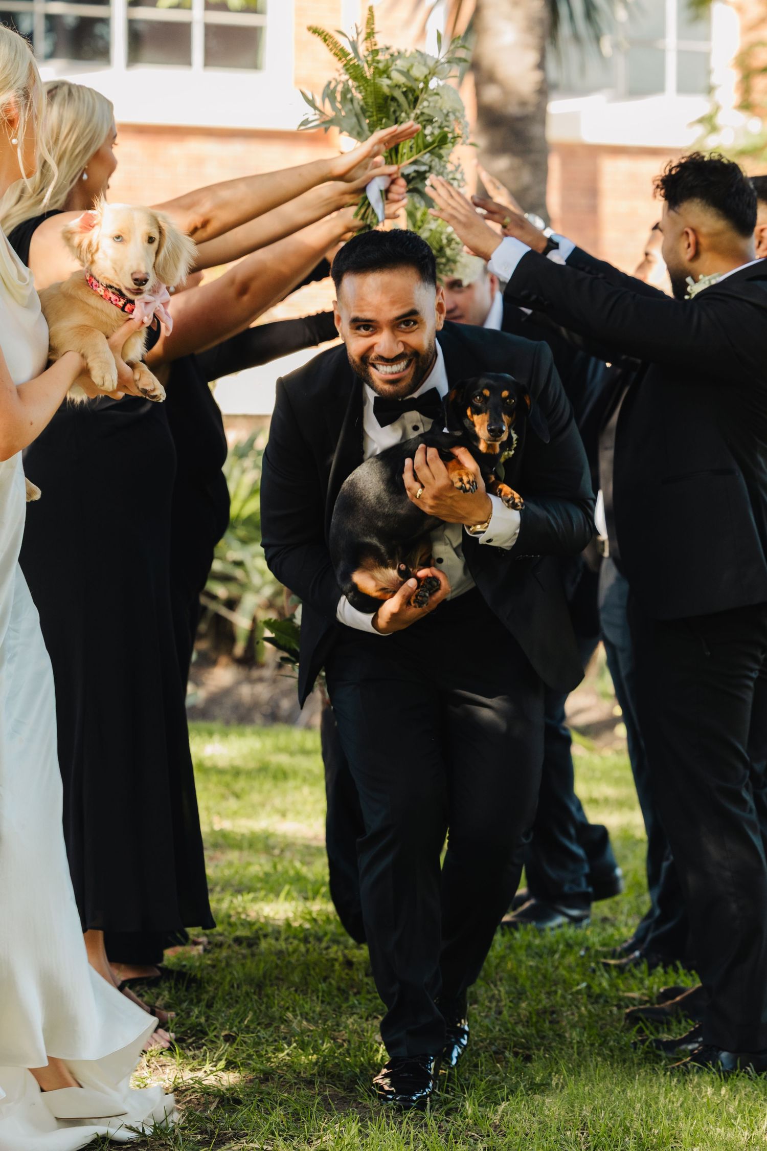 Wedding party celebrates joyfully with a small dog during outdoor ceremony.
