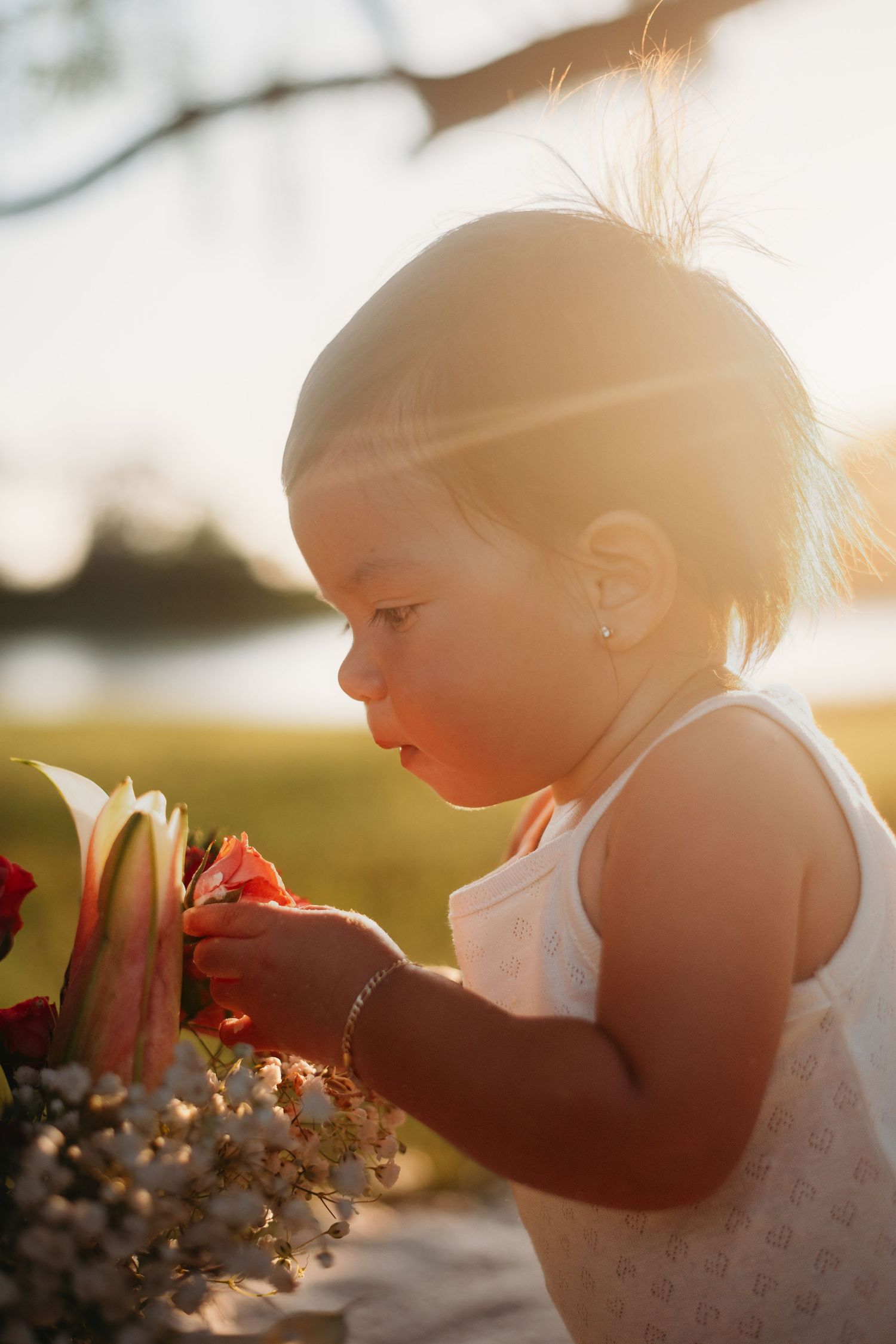 Silhouetted figure examining flowers in golden sunlight during sunset.