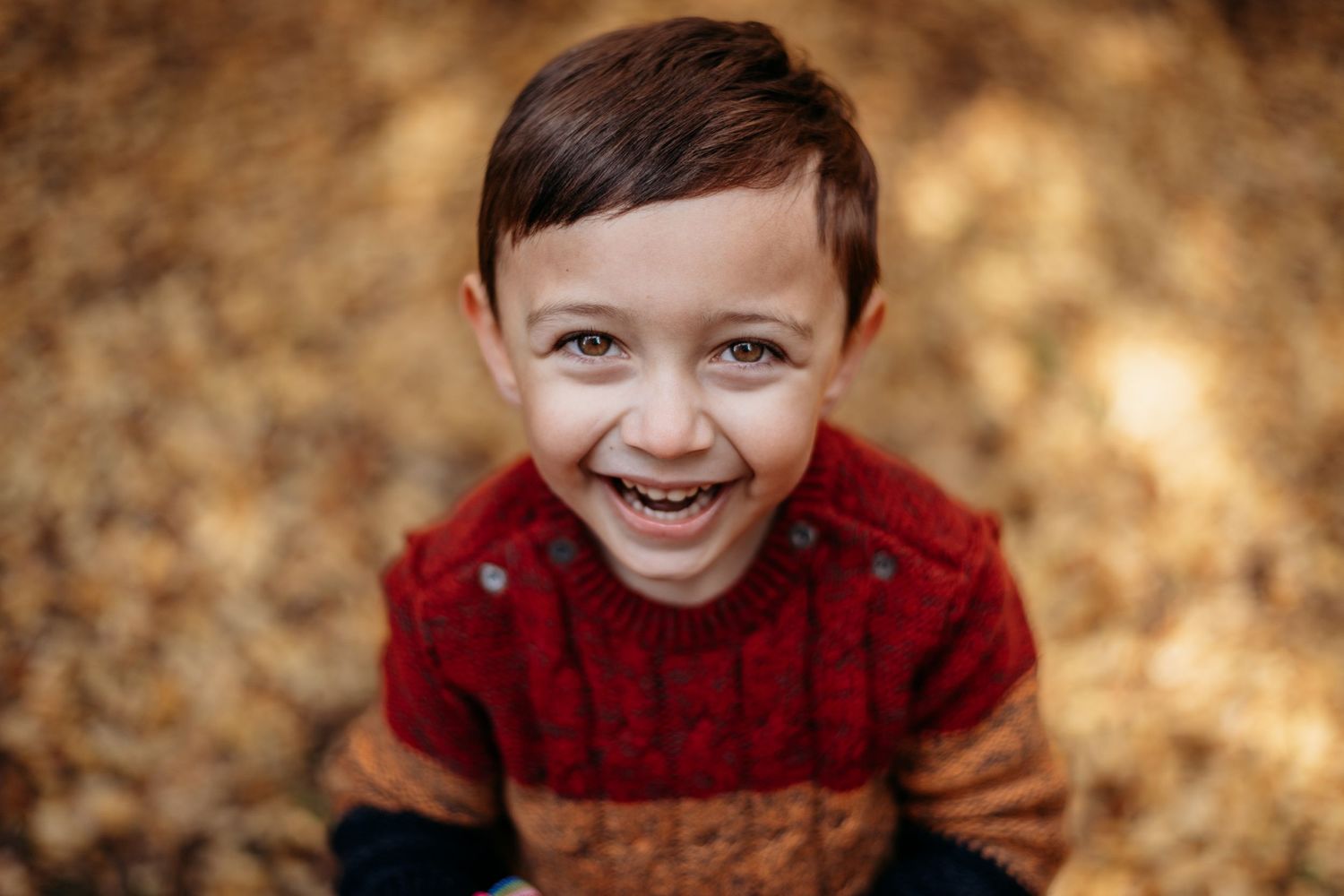 Autumn portrait sequence showing joyful expressions against golden fallen leaves.