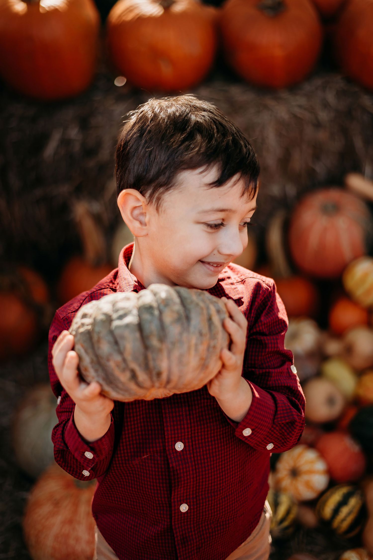 A young child in a red shirt holds a large gray pumpkin among autumn decorations.