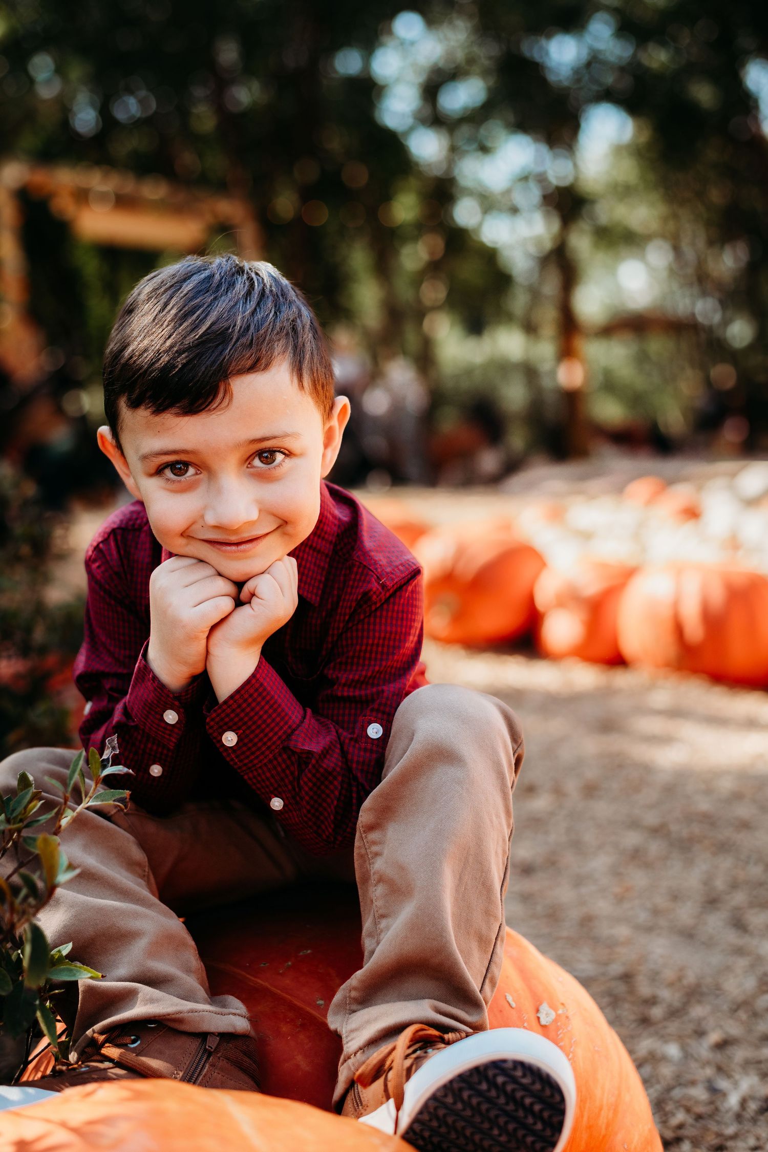 Child sitting among pumpkins at autumn harvest wearing burgundy sweater.
