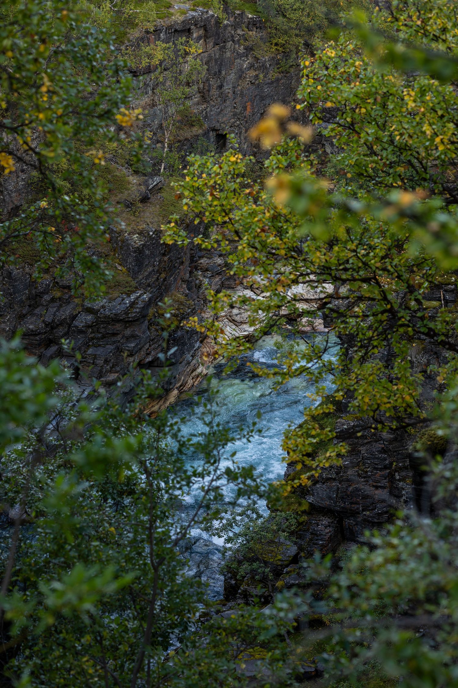 Scenic view of a river gorge with autumn foliage and rocky cliffs.