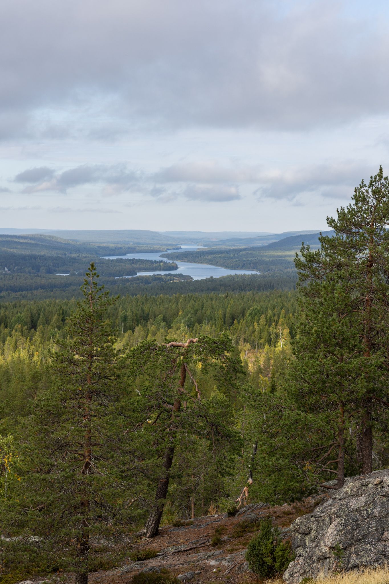Näkymä vaaralta yli metsäisen laakson jokimaiseman.