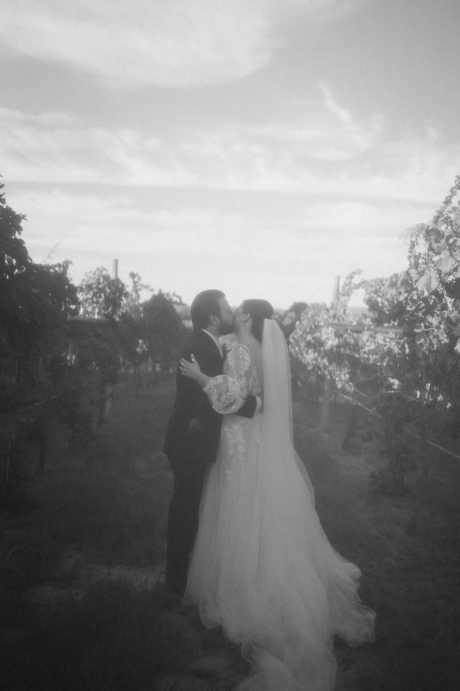 Black and white romantic wedding photo captured in a vineyard setting.