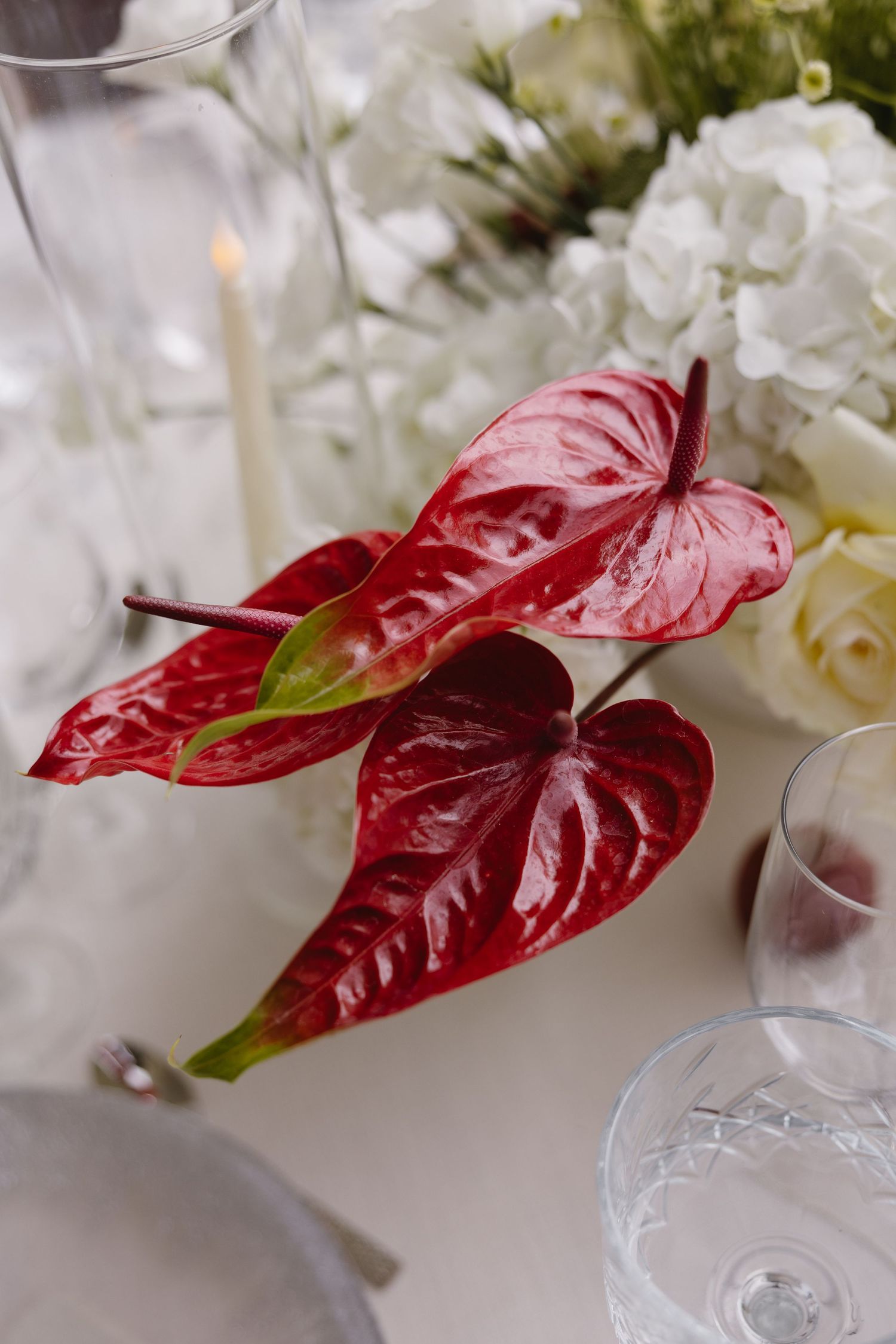 Red anthurium flowers arranged with white roses and glassware on an elegant table setting.