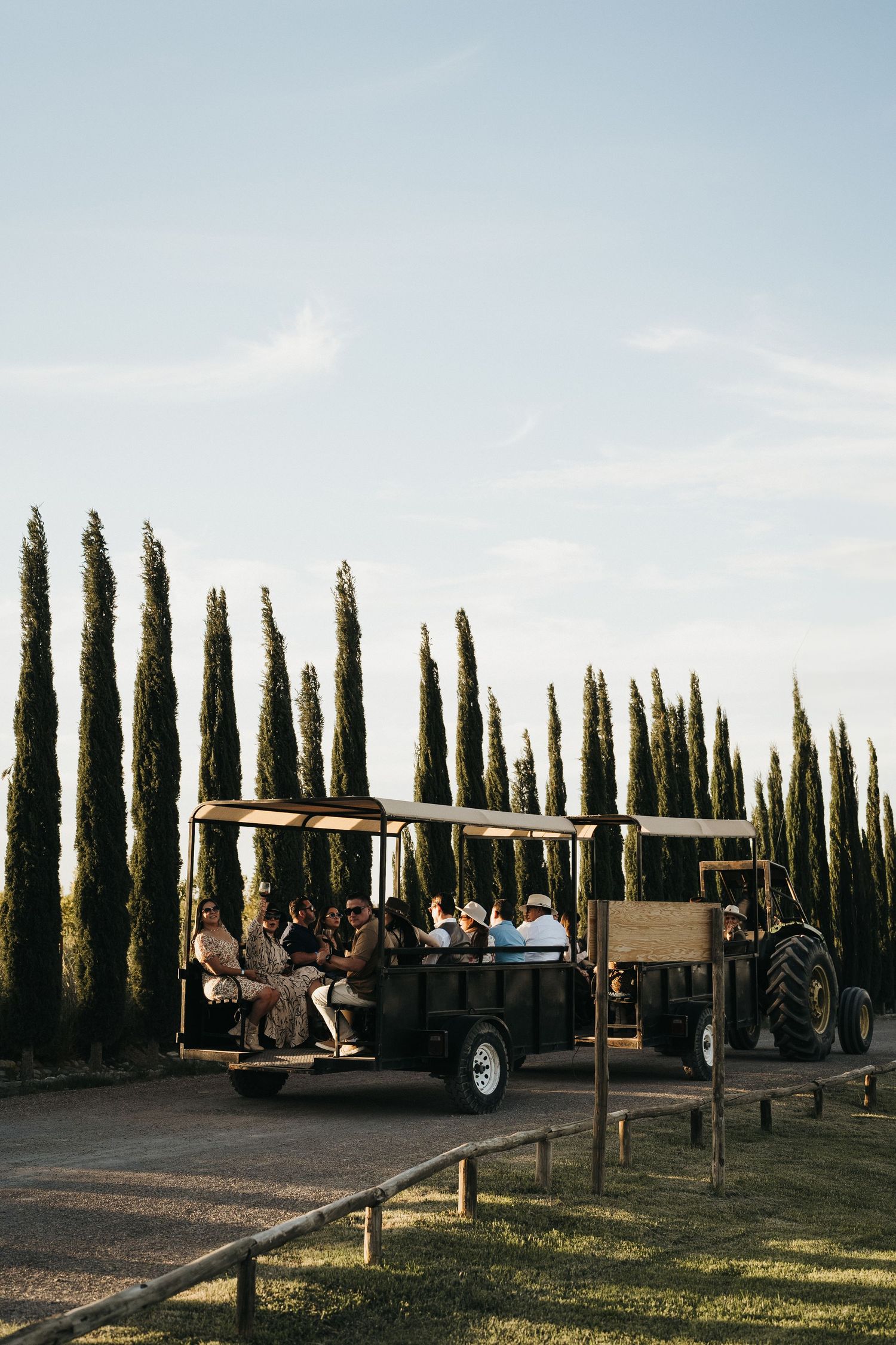Golf carts parked along a cypress tree-lined path at dusk.