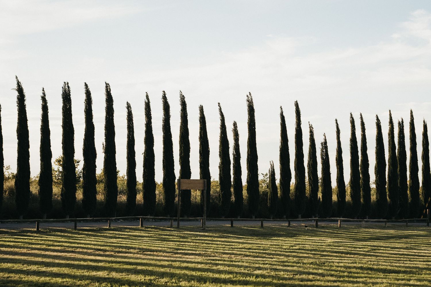 Row of tall cypress trees line a scenic Tuscan landscape.