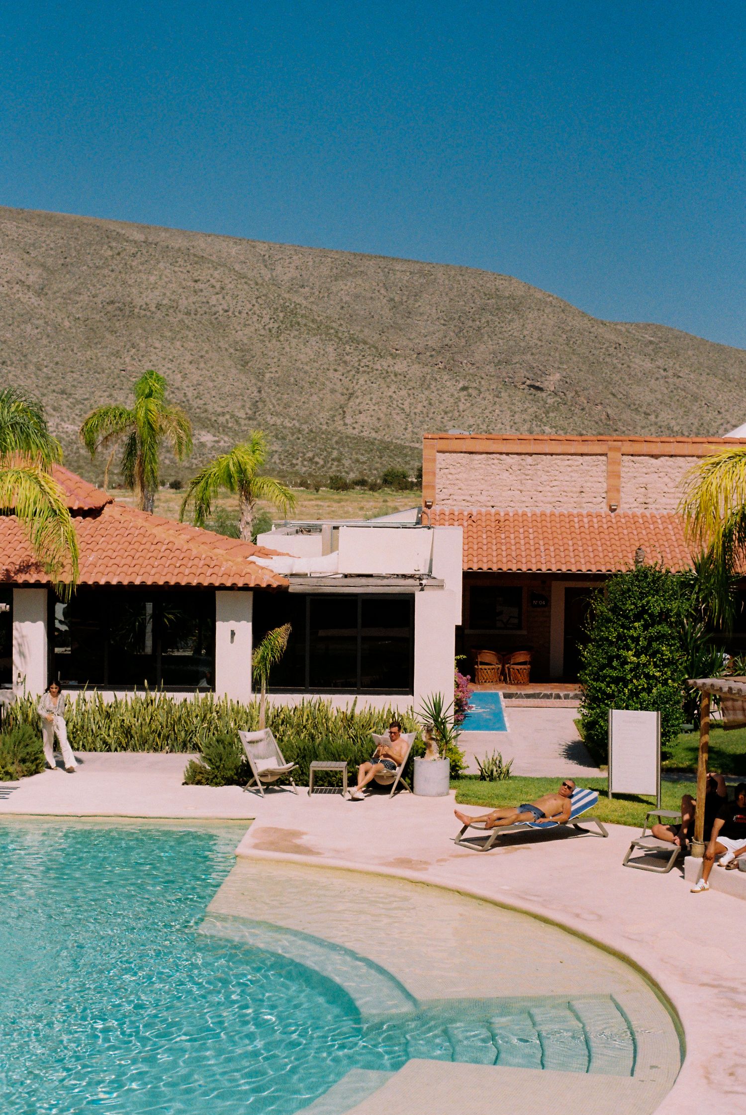 Modern swimming pool with curved edges surrounded by palm trees and Spanish-style architecture in a desert setting.