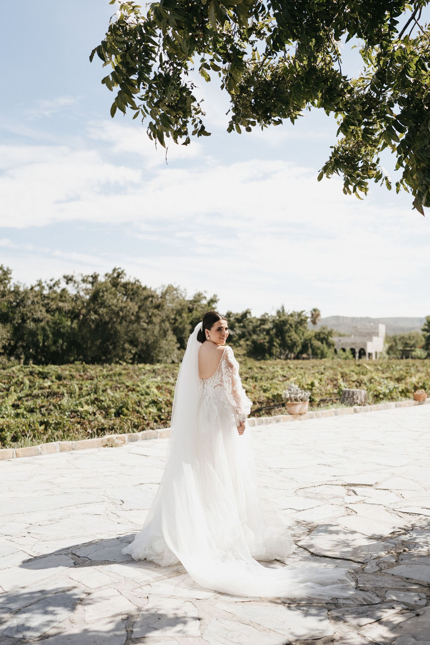 A flowing white wedding dress and veil captured in bright sunlight against a vineyard landscape.