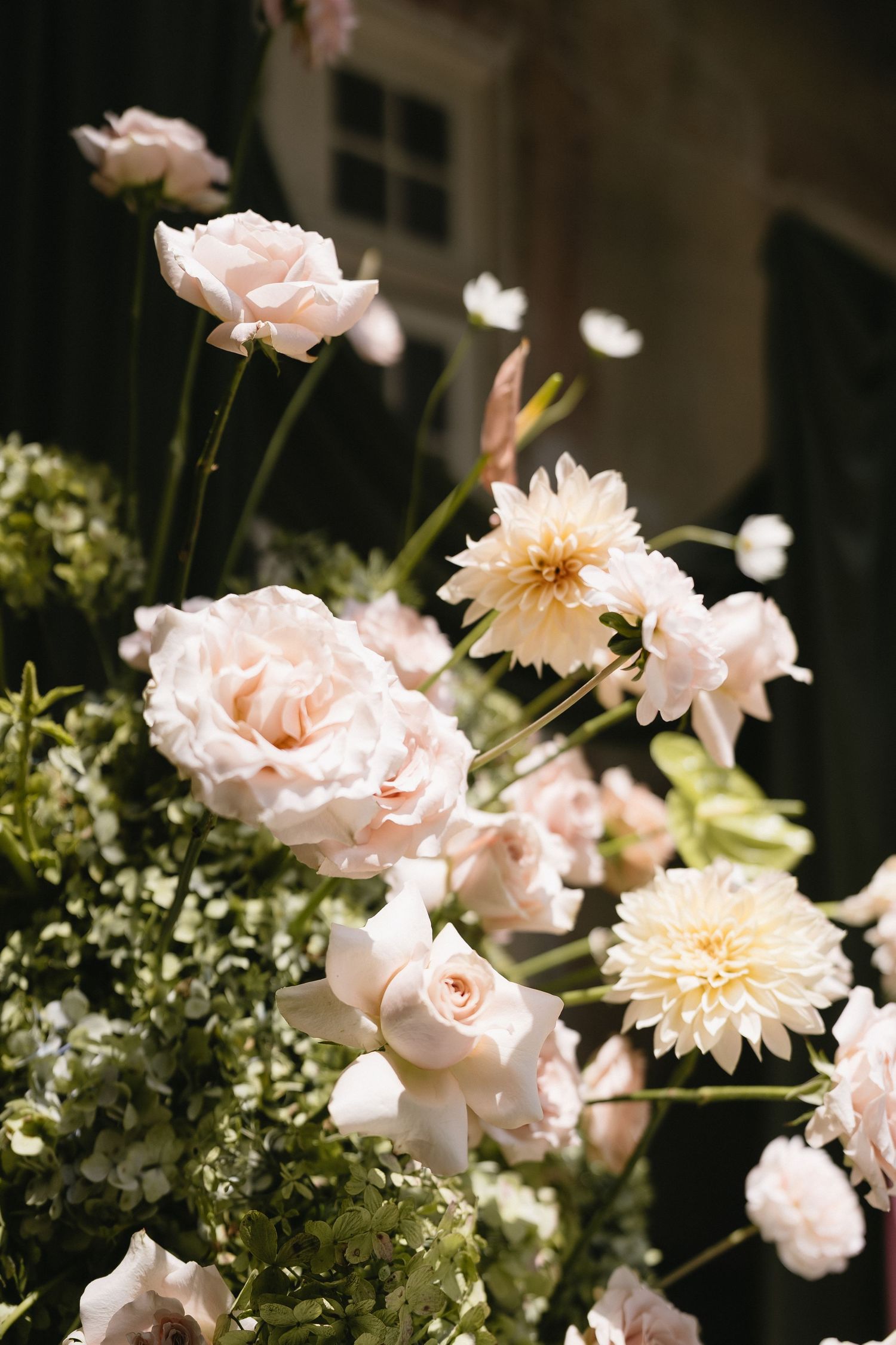 Close-up of soft pink garden roses and dahlias in natural light.
