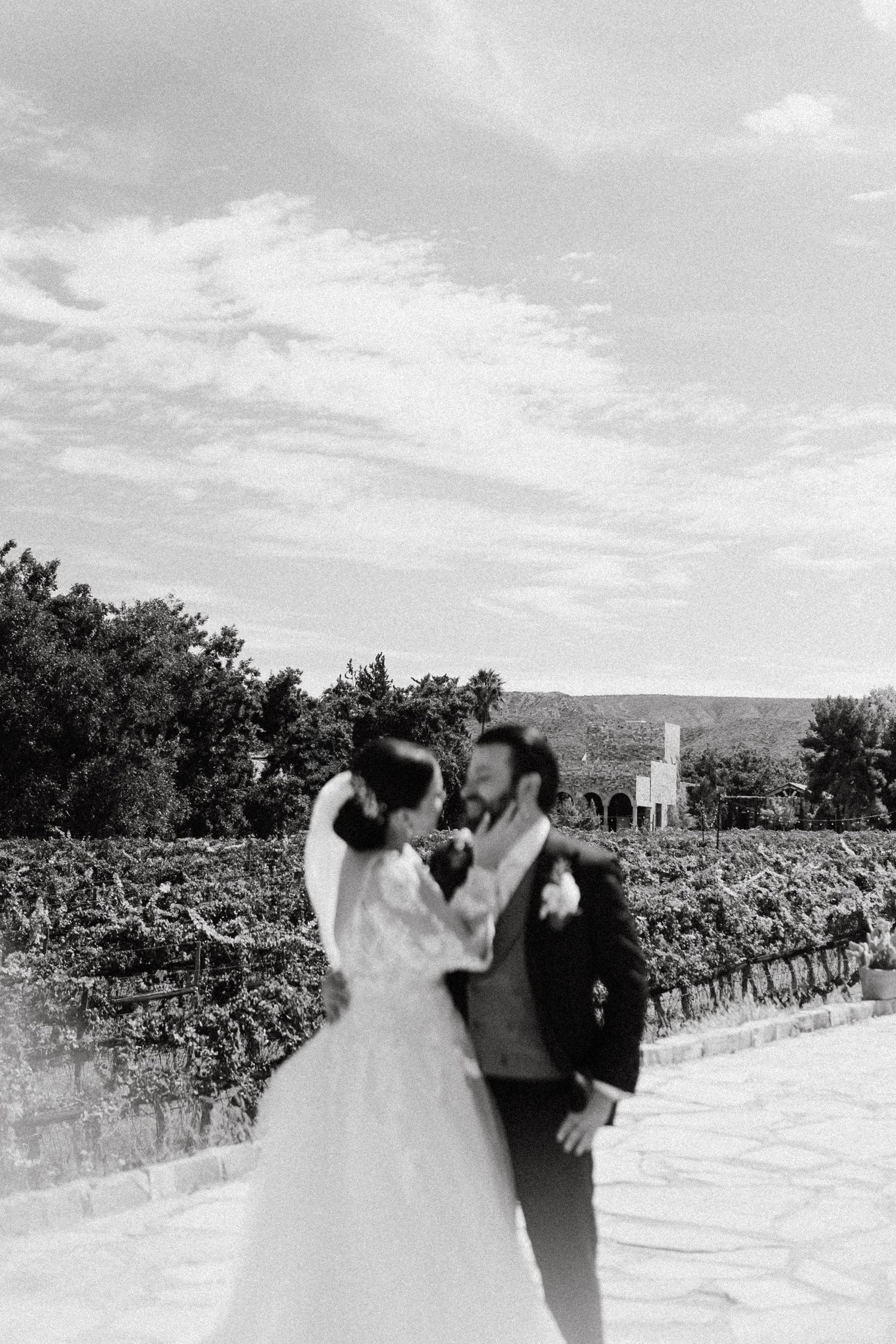 A wedding couple poses together in a scenic vineyard setting with mountains in the background.