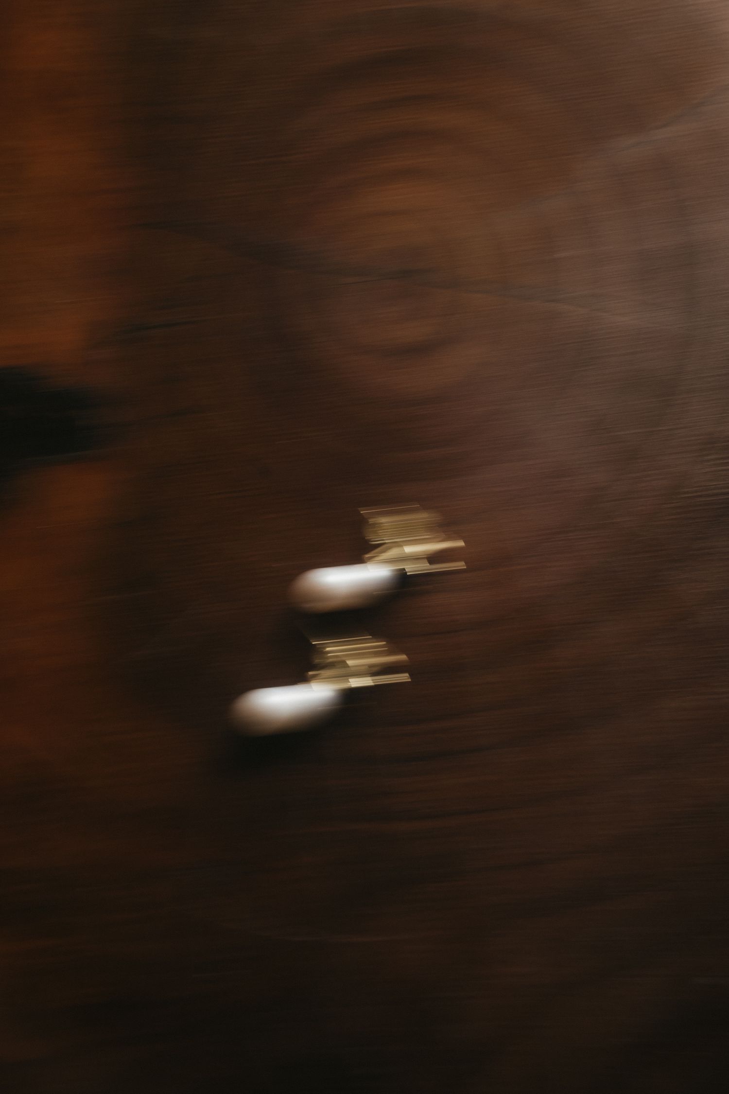 Motion-blurred abstract image with warm brown tones creating an artistic effect.