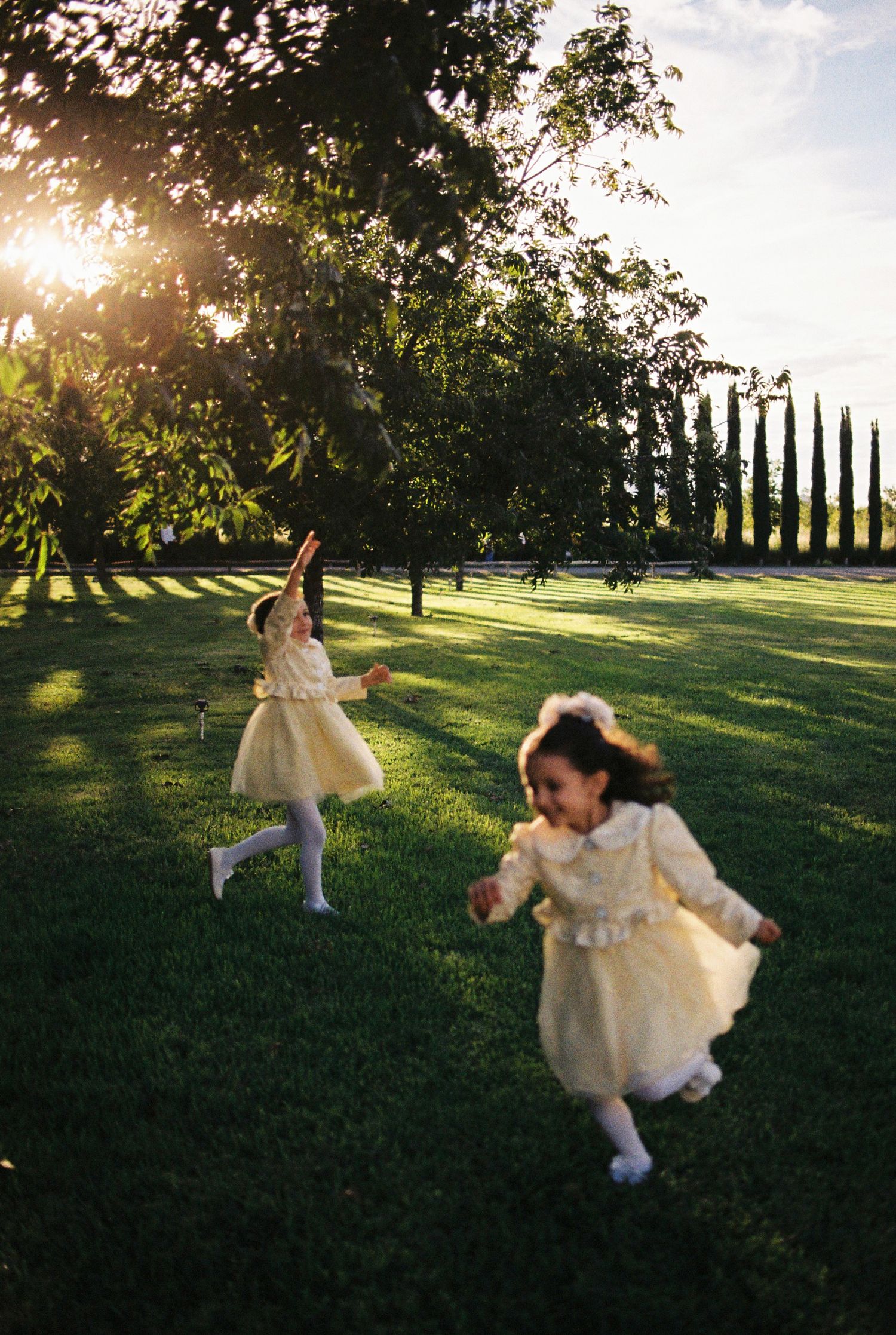 A young dancer in a white dress twirls gracefully on a sunlit grassy lawn with cypress trees in the background.