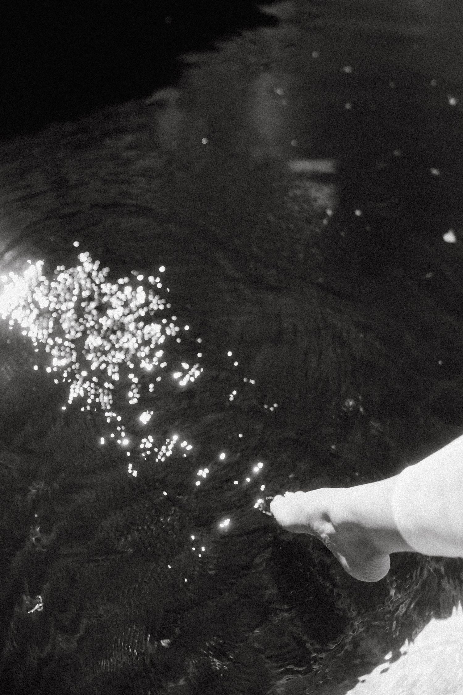 A hand scatters sparkling confetti over dark rippling water creating a magical reflection.