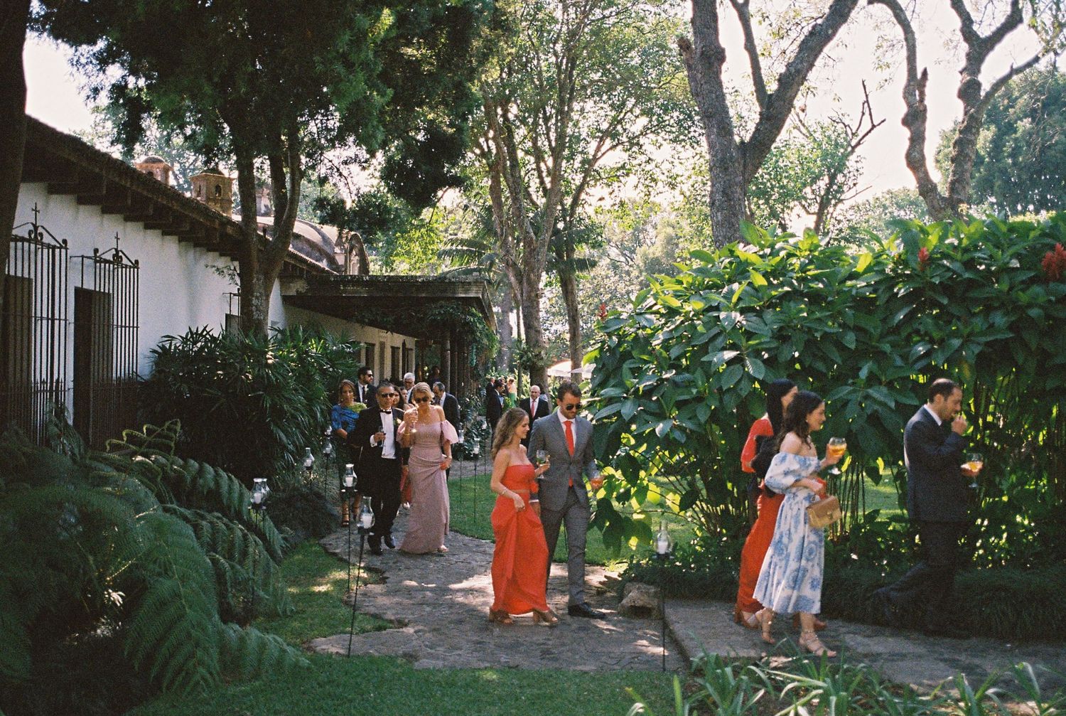 Guests mingle along a tree-lined pathway at an outdoor event.