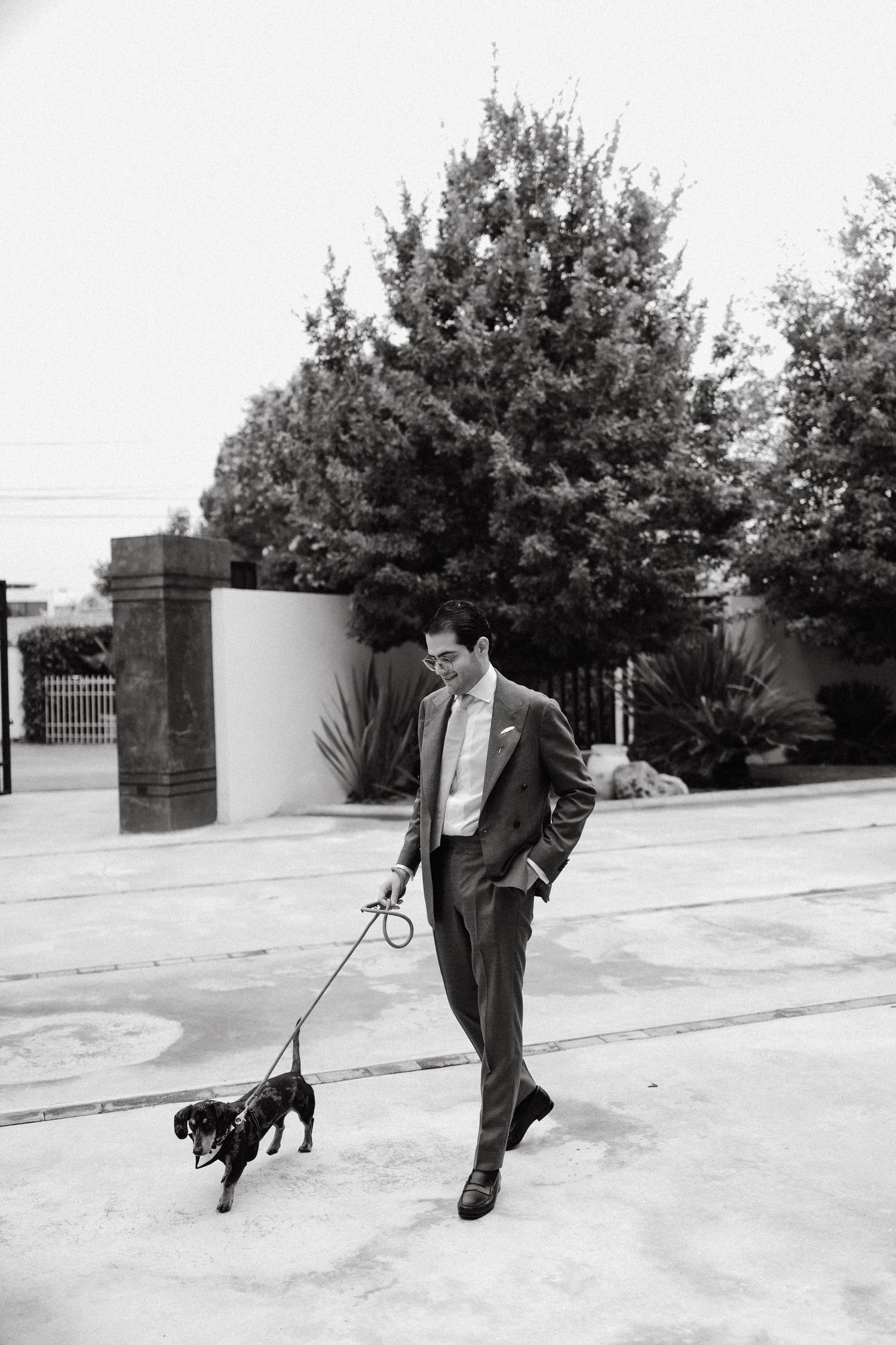 A suited man walks a small black dog on a leash in a black and white photograph.