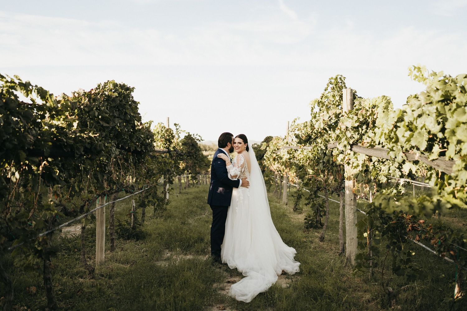 A wedding couple poses among vineyard rows during golden hour.