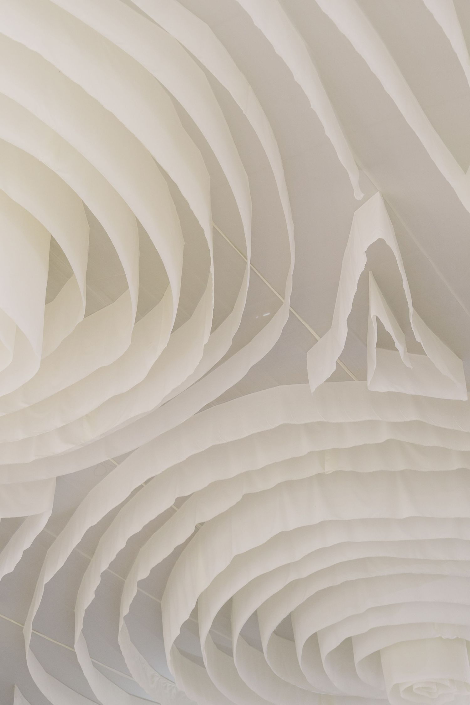 Abstract white architectural detail showing curved lines and rippling patterns.