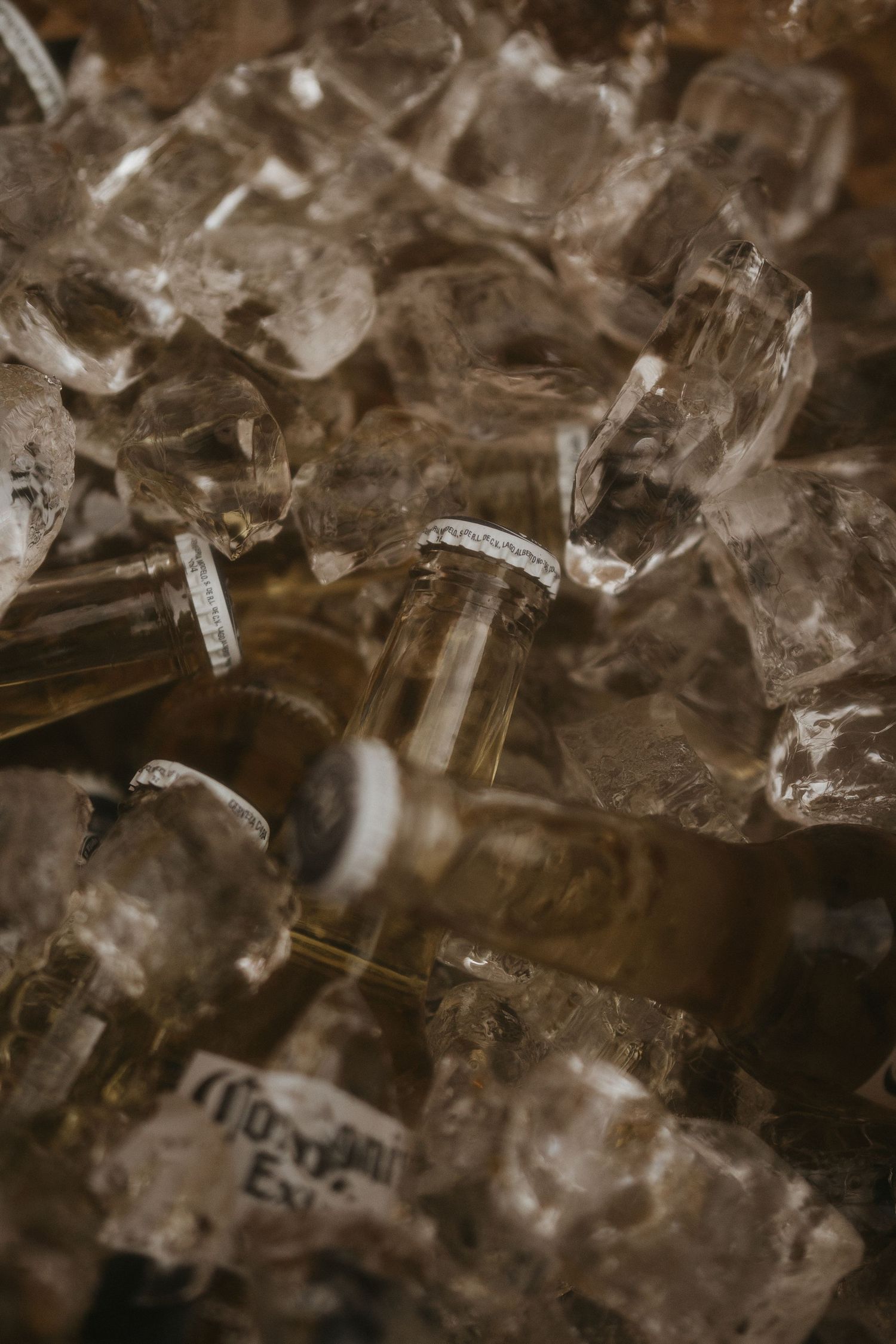 Close-up artistic shot of ice crystals creating an abstract pattern in sepia tones.