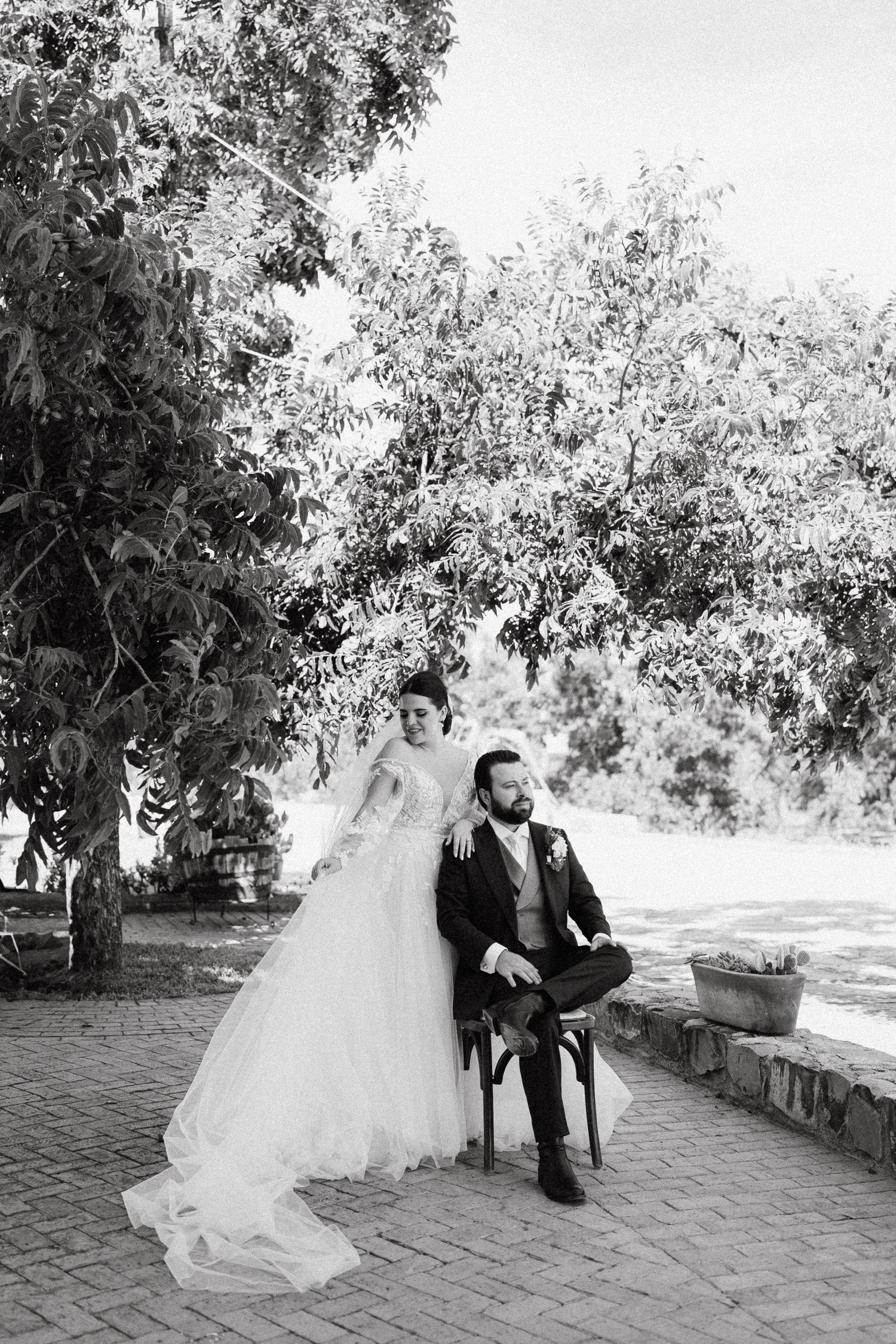 A romantic wedding photo sequence showing a couple sitting on stone steps surrounded by trees and greenery.