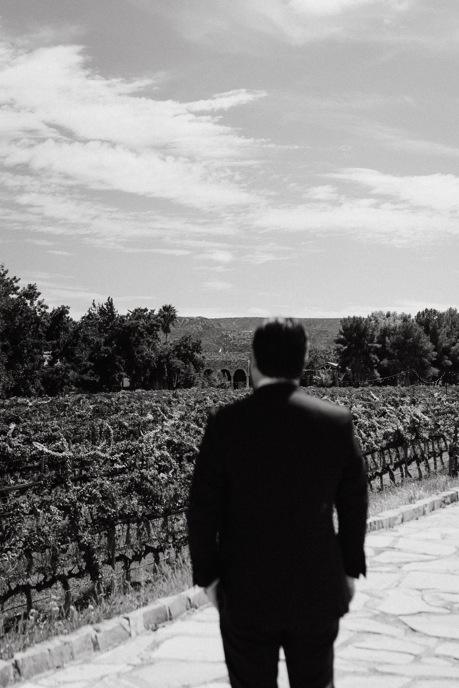 Silhouettes of a couple walking through a vineyard with mountains in the distance.