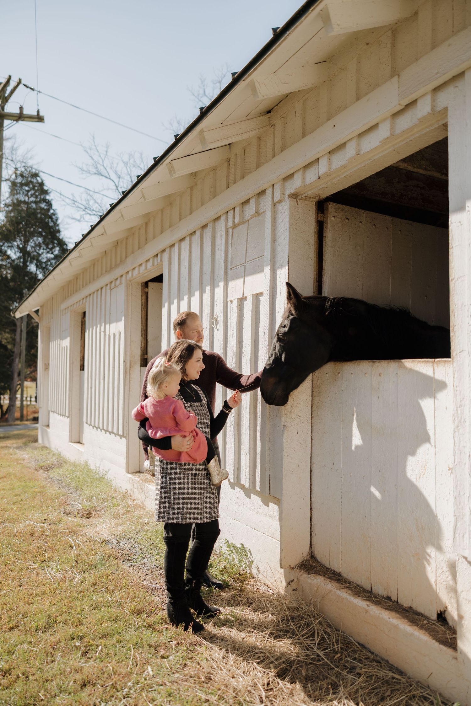 A family petting a dark horse through a stable window at a white barn on a sunny day.