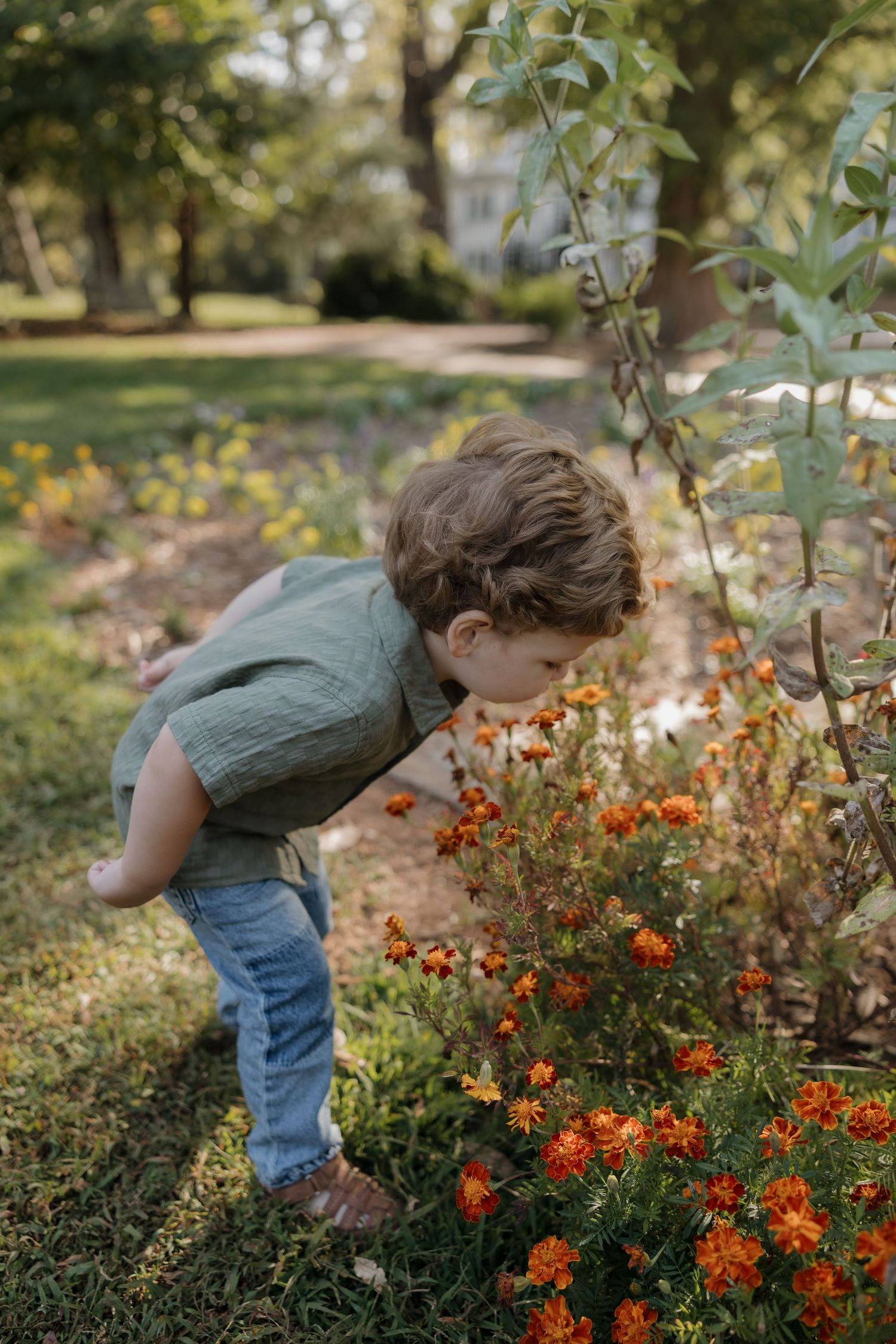 A small child in jeans and a sweater bends down to examine bright orange flowers in a garden on a sunny day.