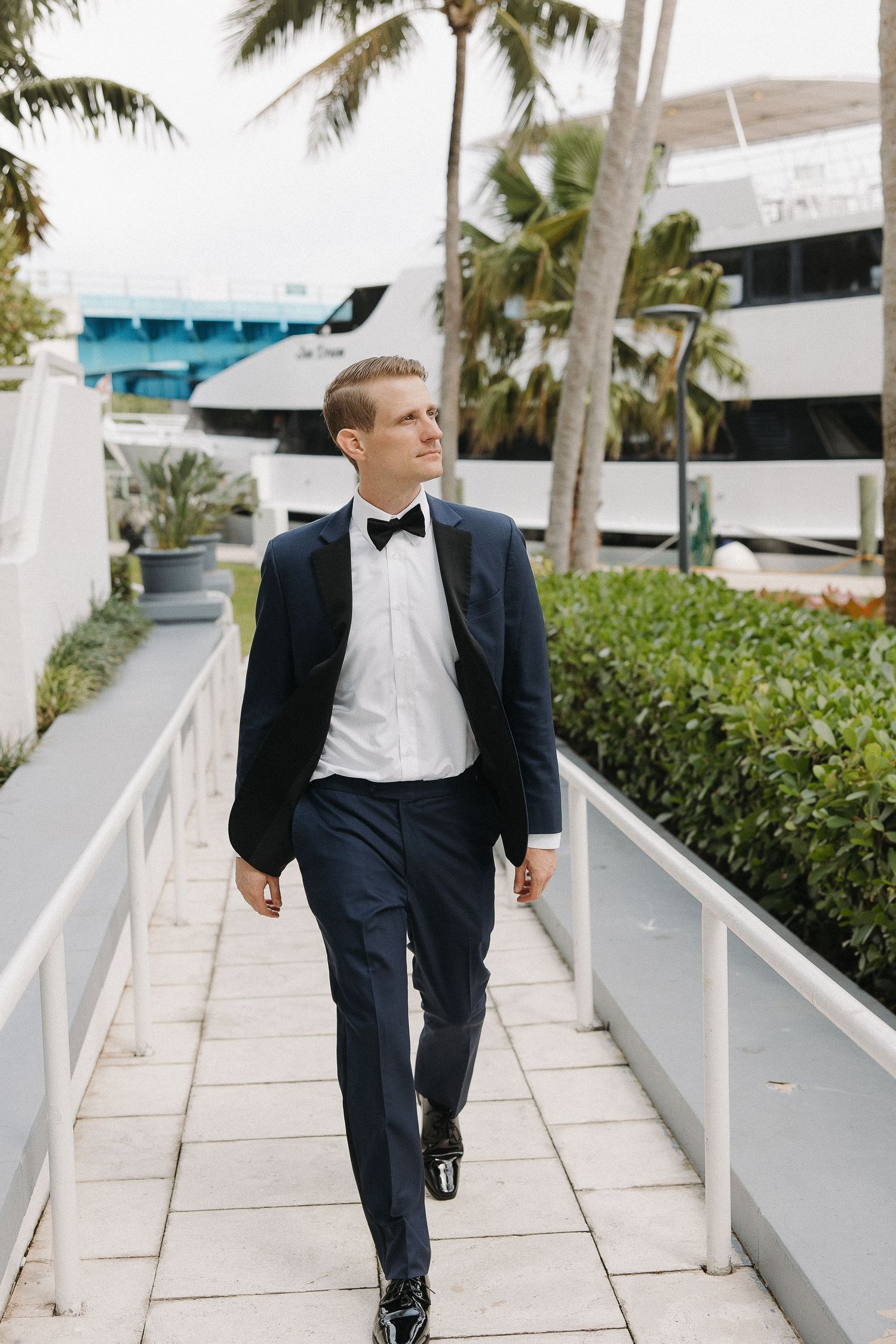 A formal event walkway lined with palm trees and modern architecture.