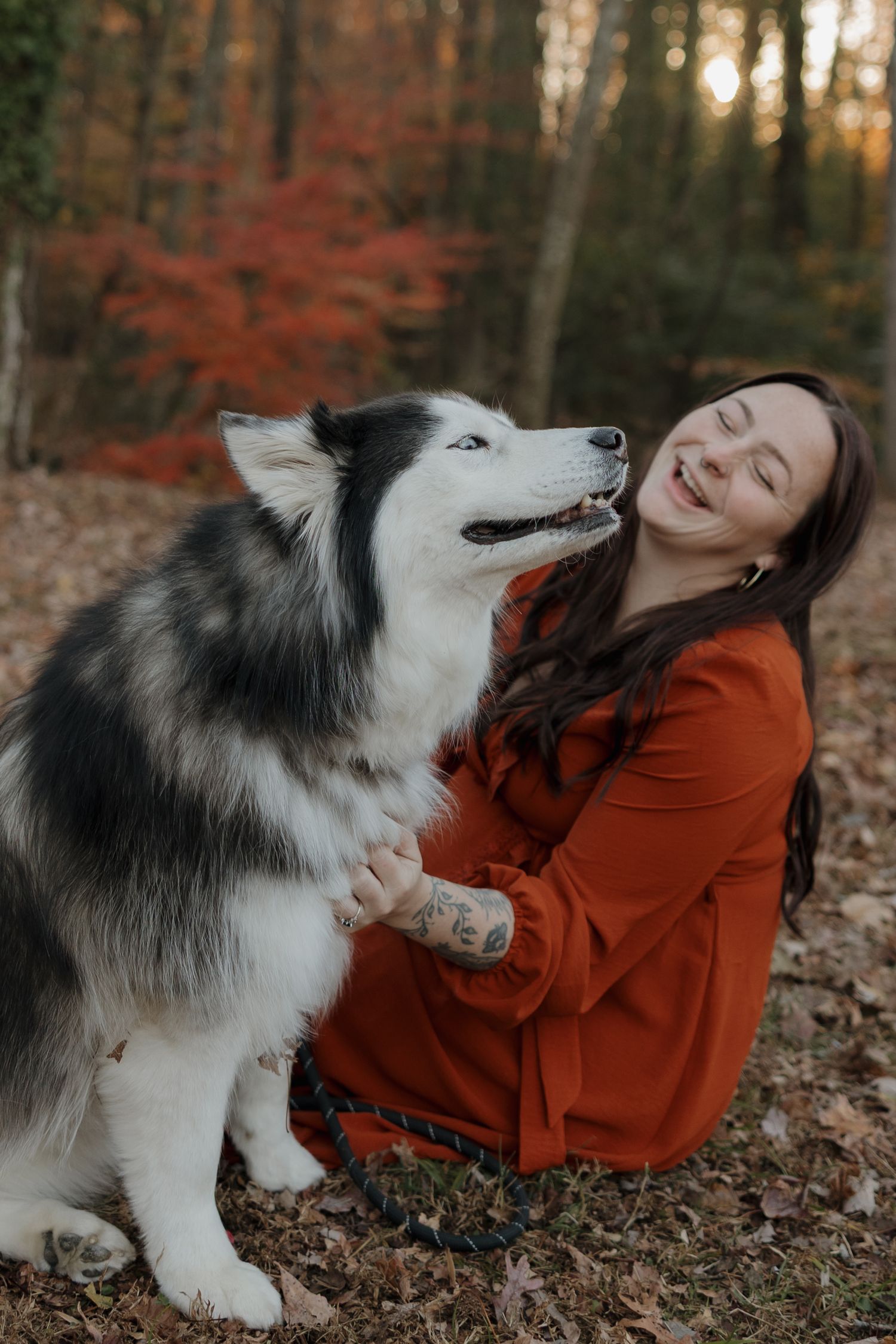 A black and white husky dog plays joyfully with someone wearing an orange sweater in autumn forest scenery.