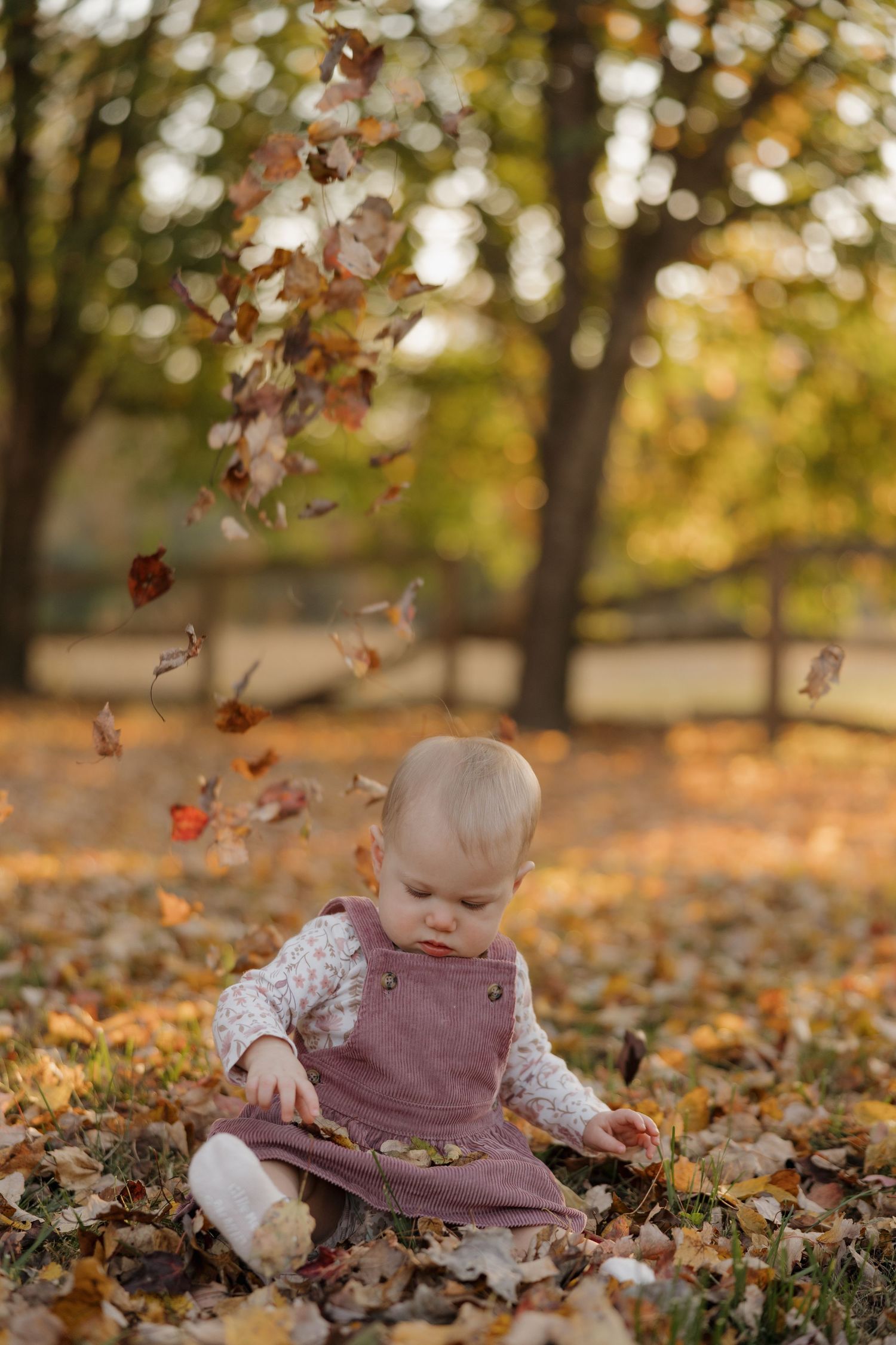A baby sits among scattered autumn leaves on the ground during a fall photo session in a park.