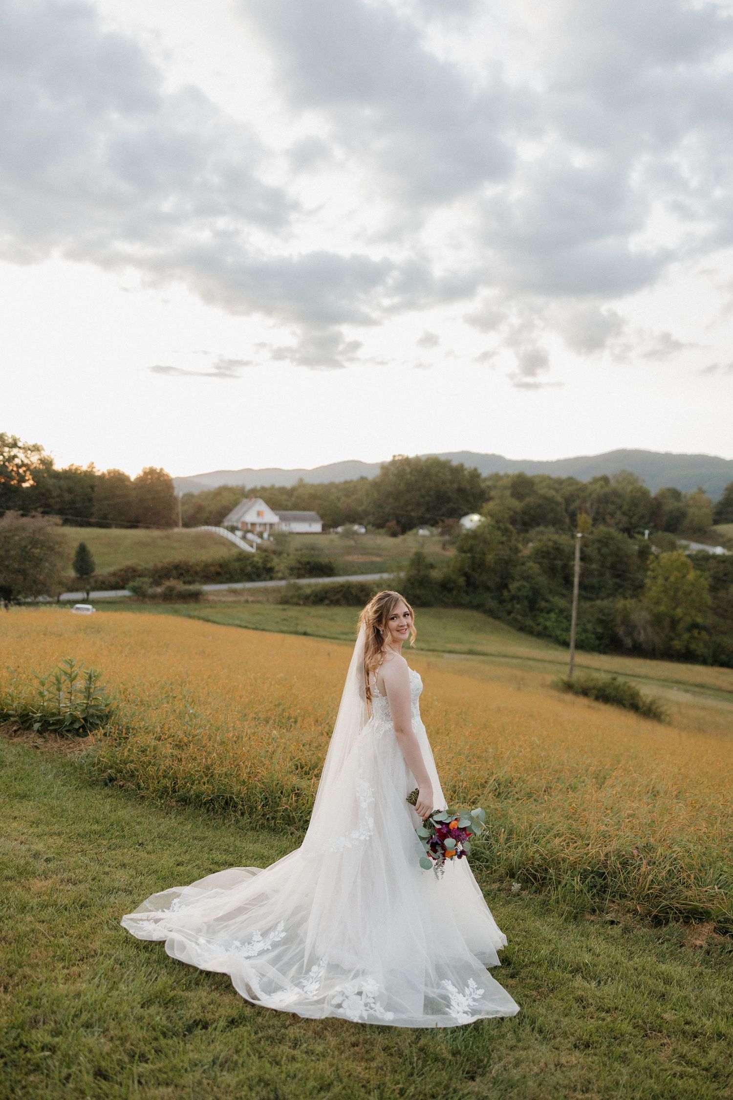 White wedding dress flowing in a golden field with mountains in the background at sunset.